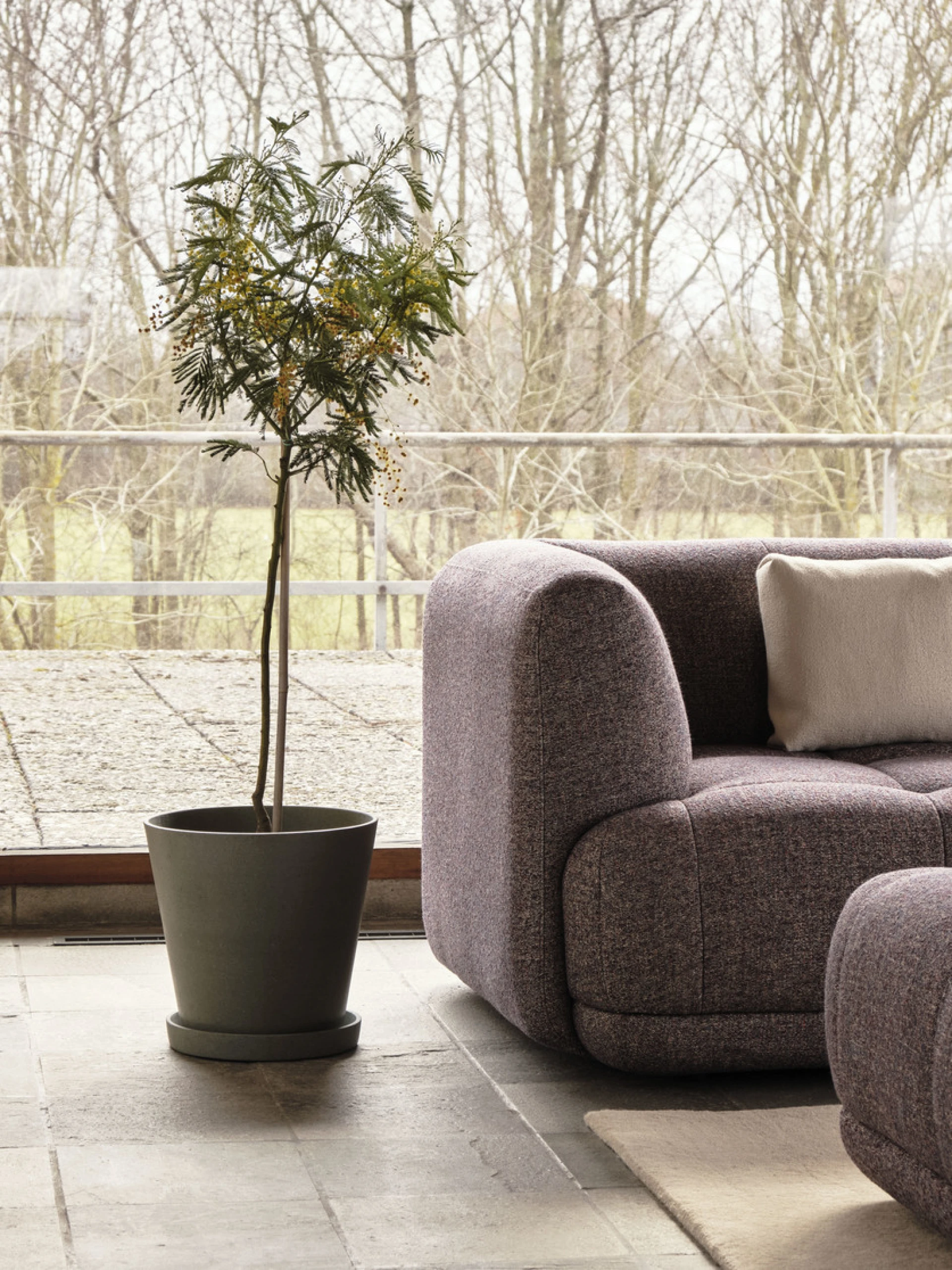 Raw Rug NO 2 200 x 300 Sand