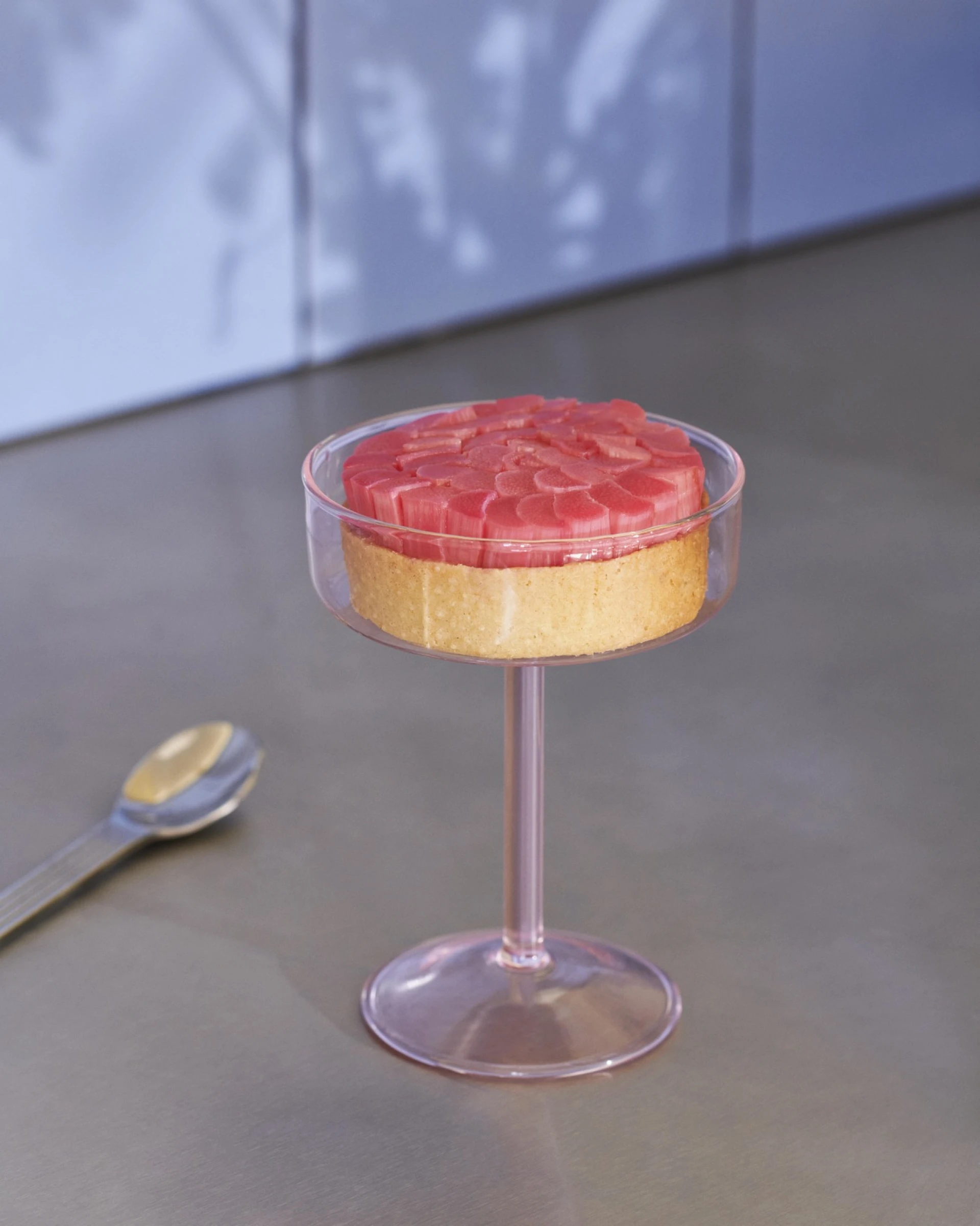 Tint Coupe Glass Set of 2 Pink