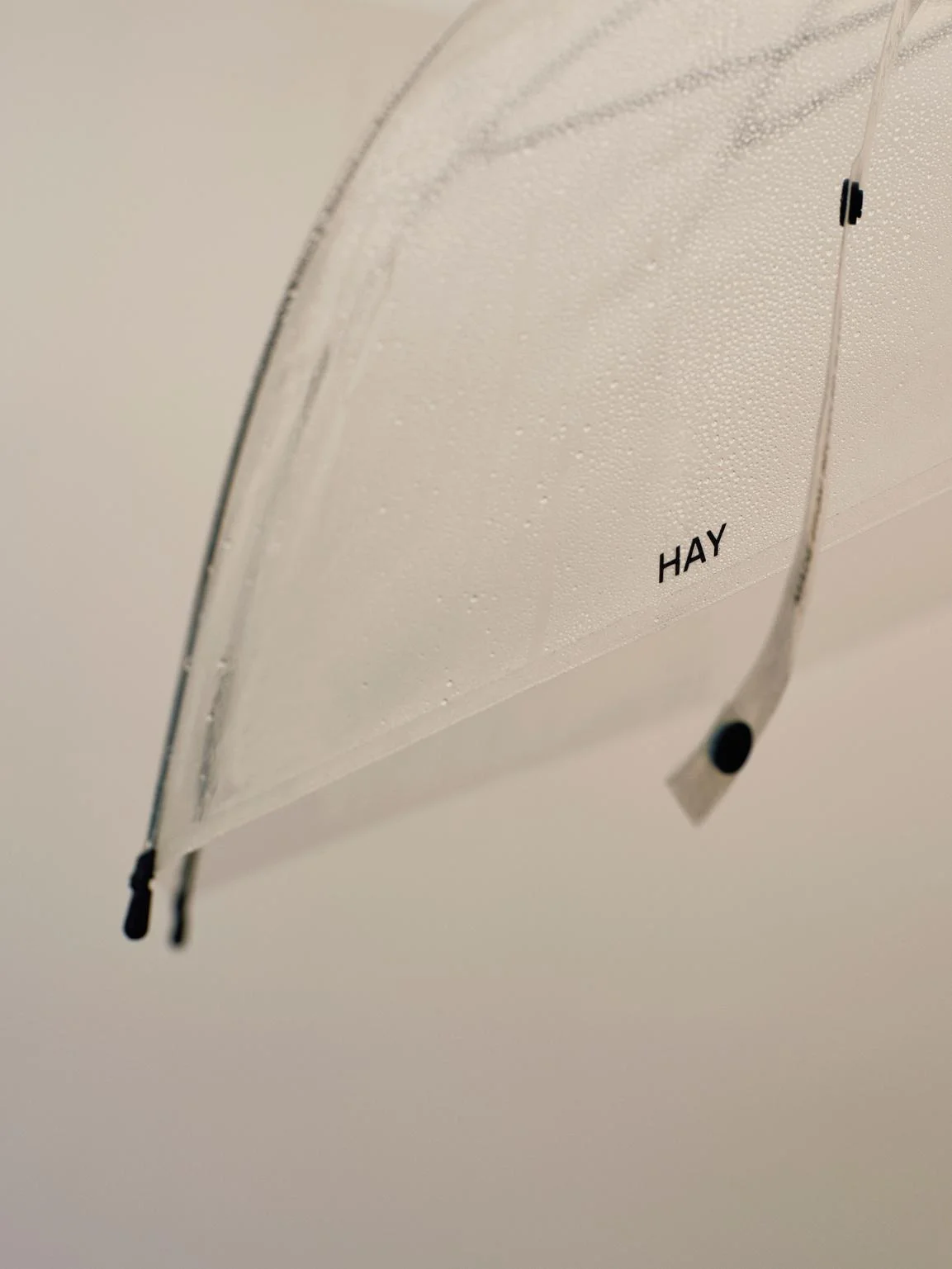 Canopy Umbrella Clear