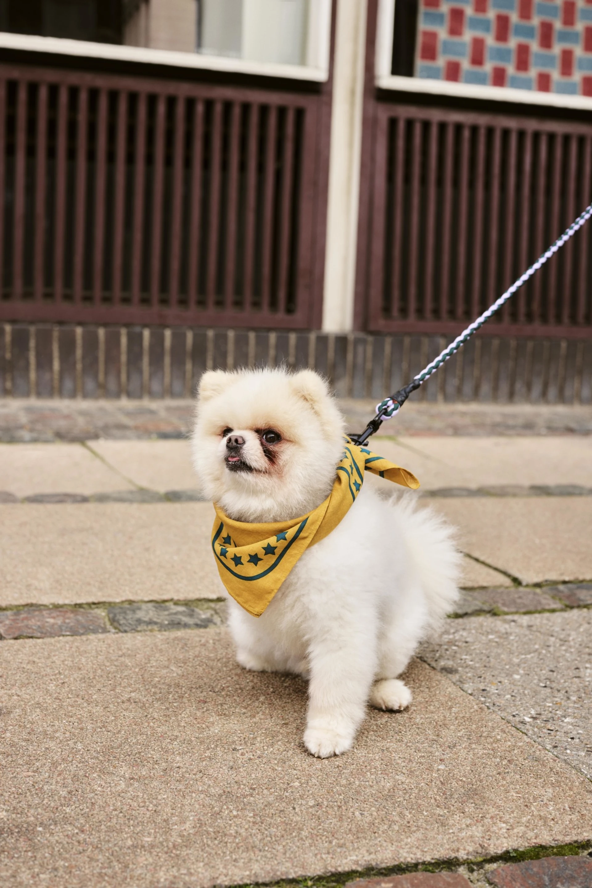 HAY Dogs Scarf 55 x 55 Ochre