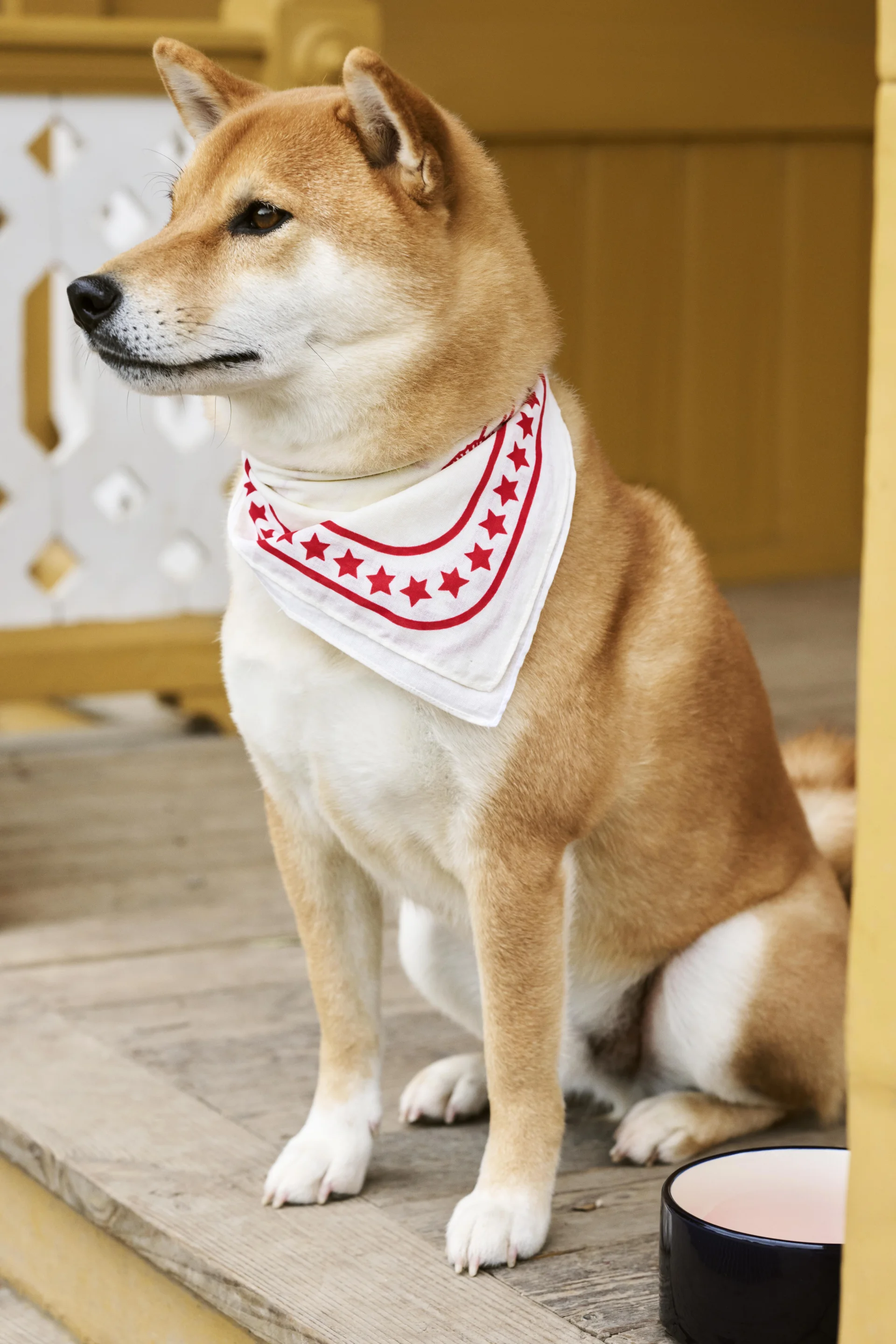 HAY Dogs Scarf 55 x 55 Off-white