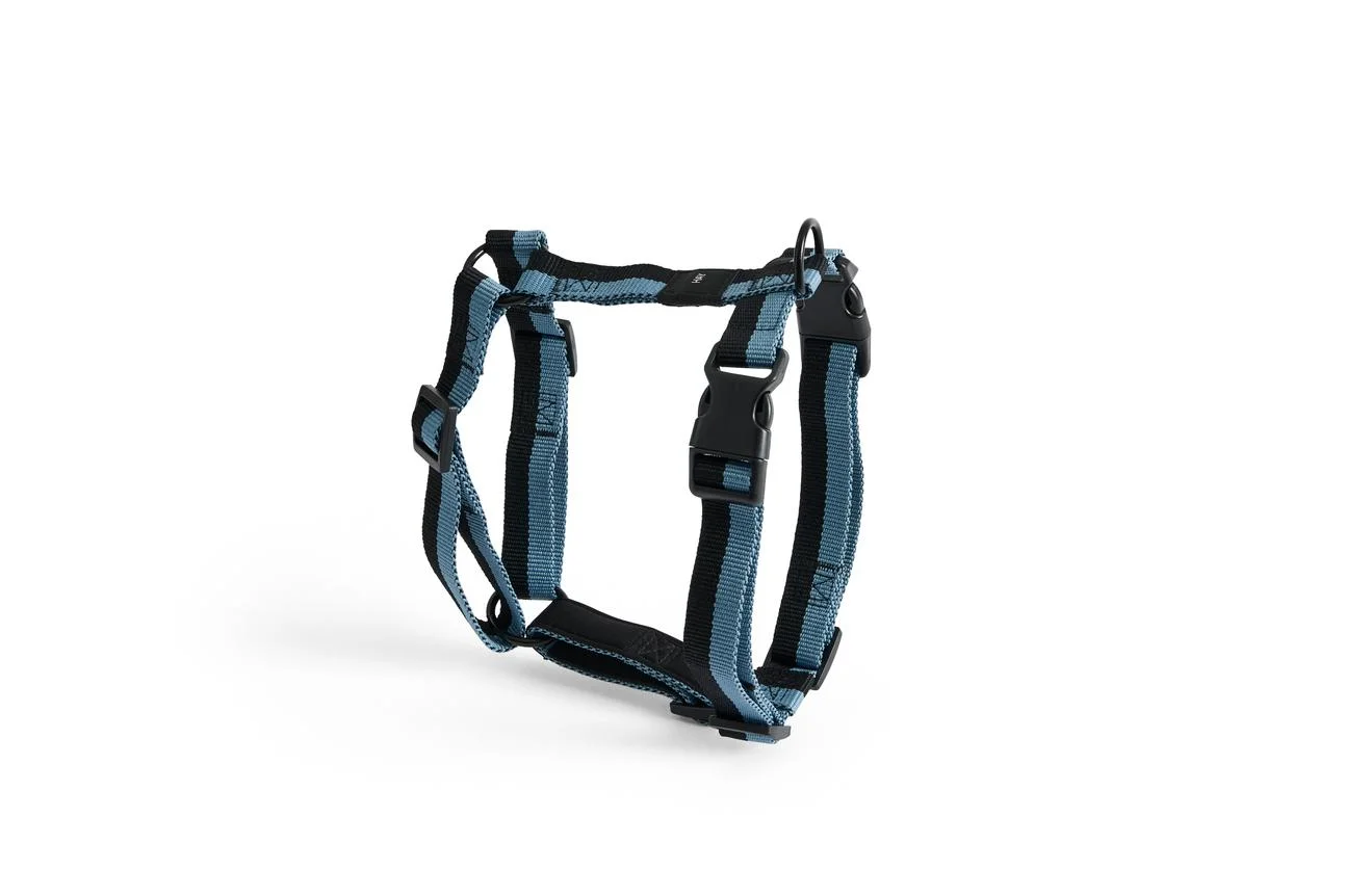 HAY Dogs Harness Medium Blue, black