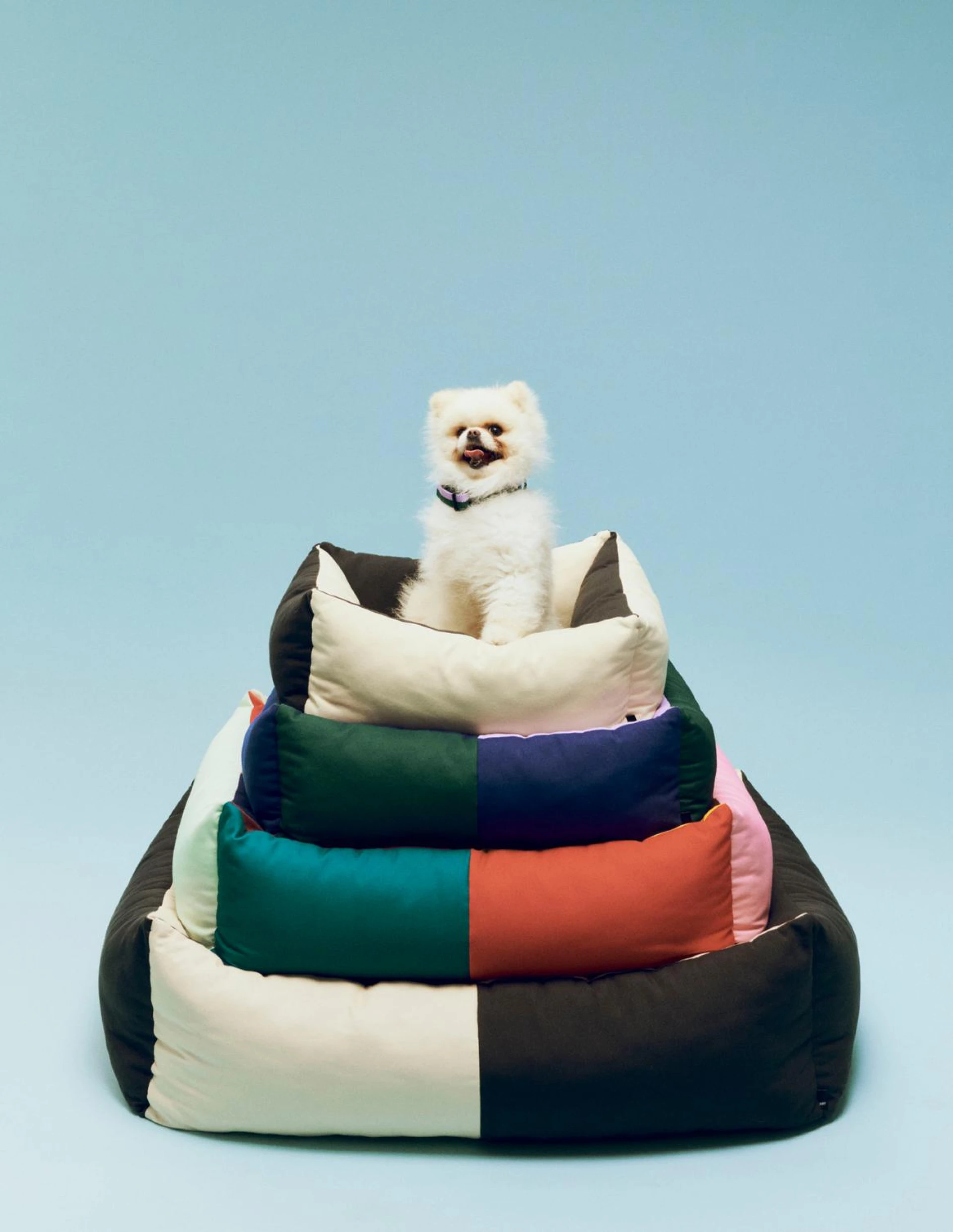HAY Dogs Bed Small Green, lavender and blue