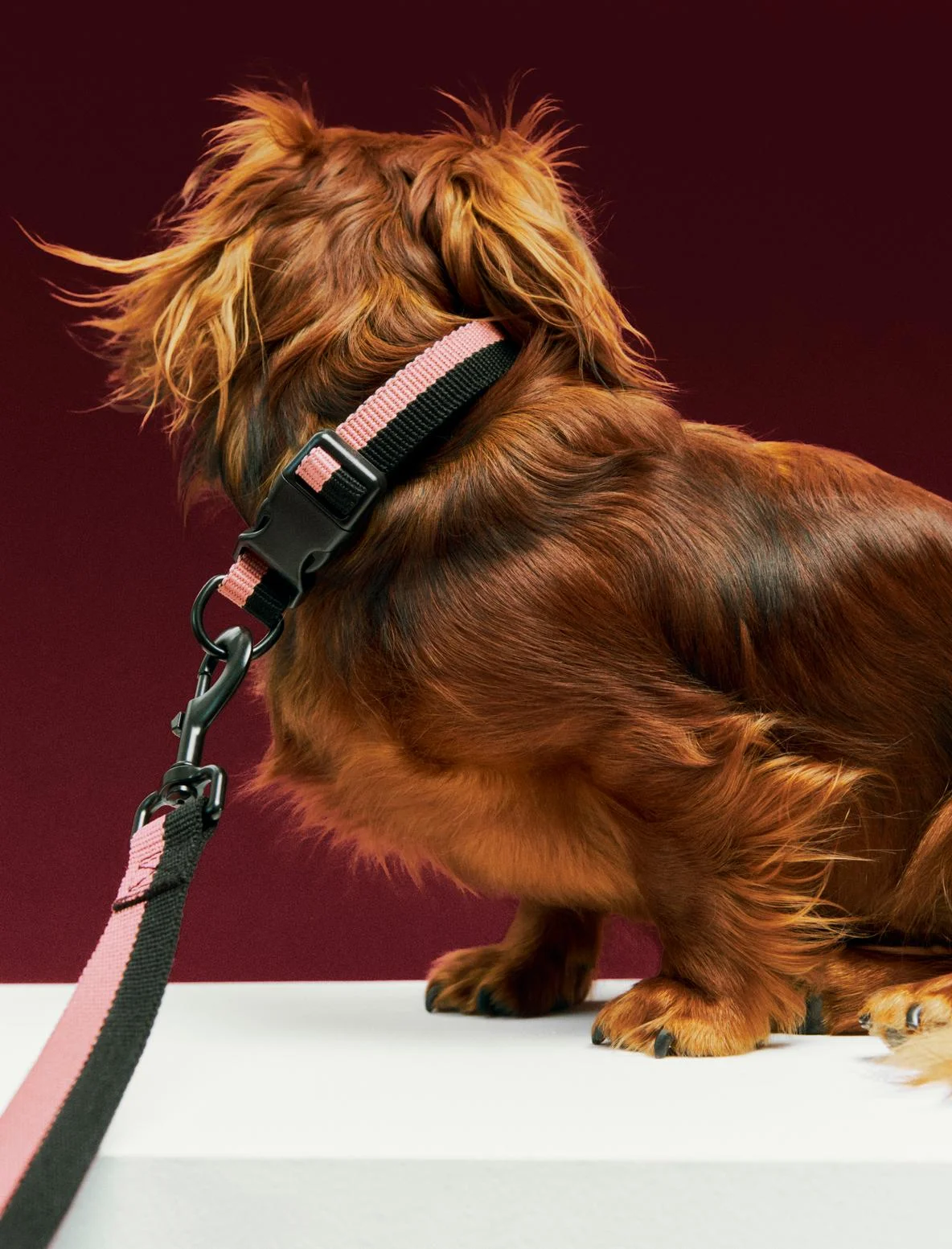 HAY Dogs Collar Flat M/L Pink, black