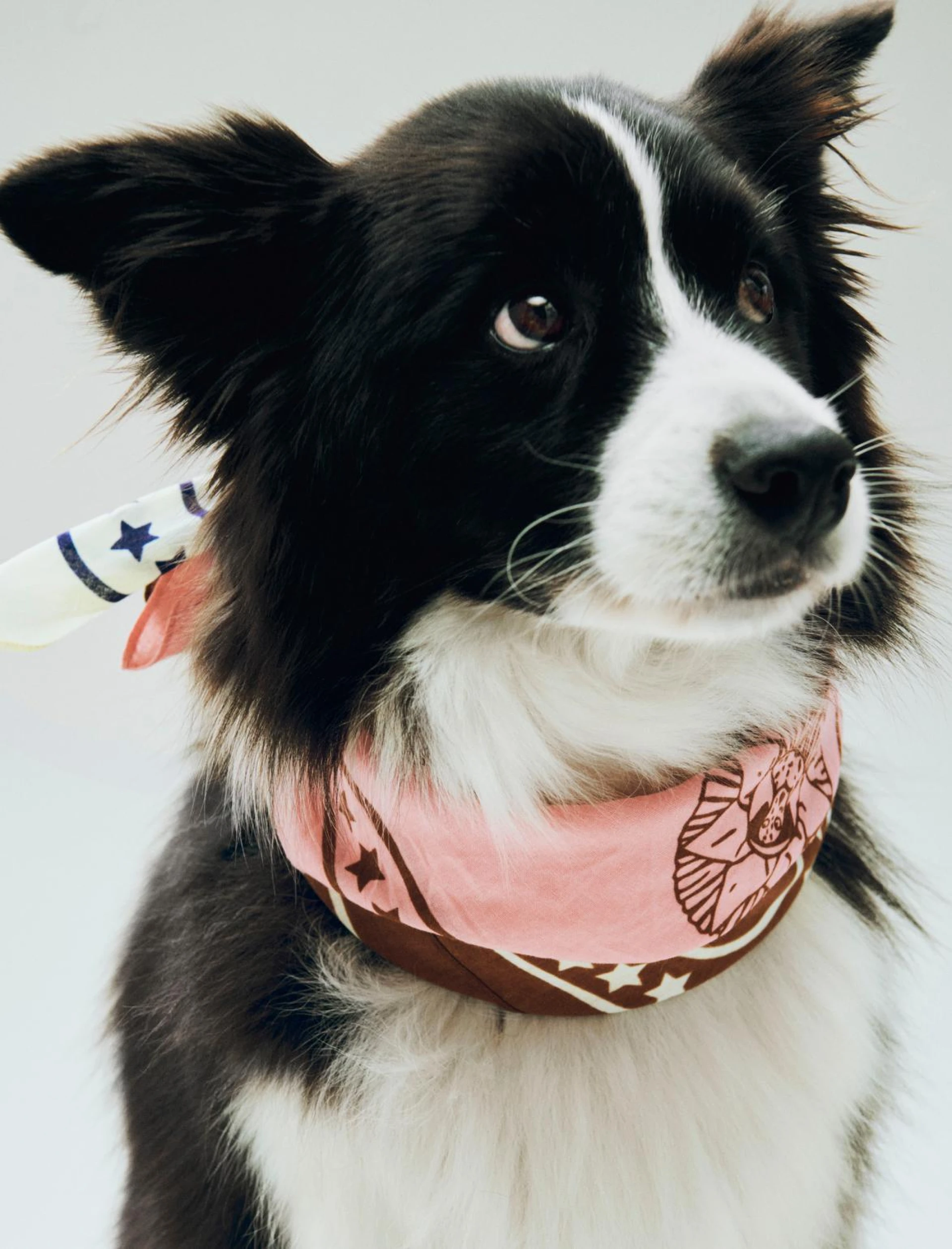 HAY Dogs Scarf (Recycled) 55 x 55 Pink