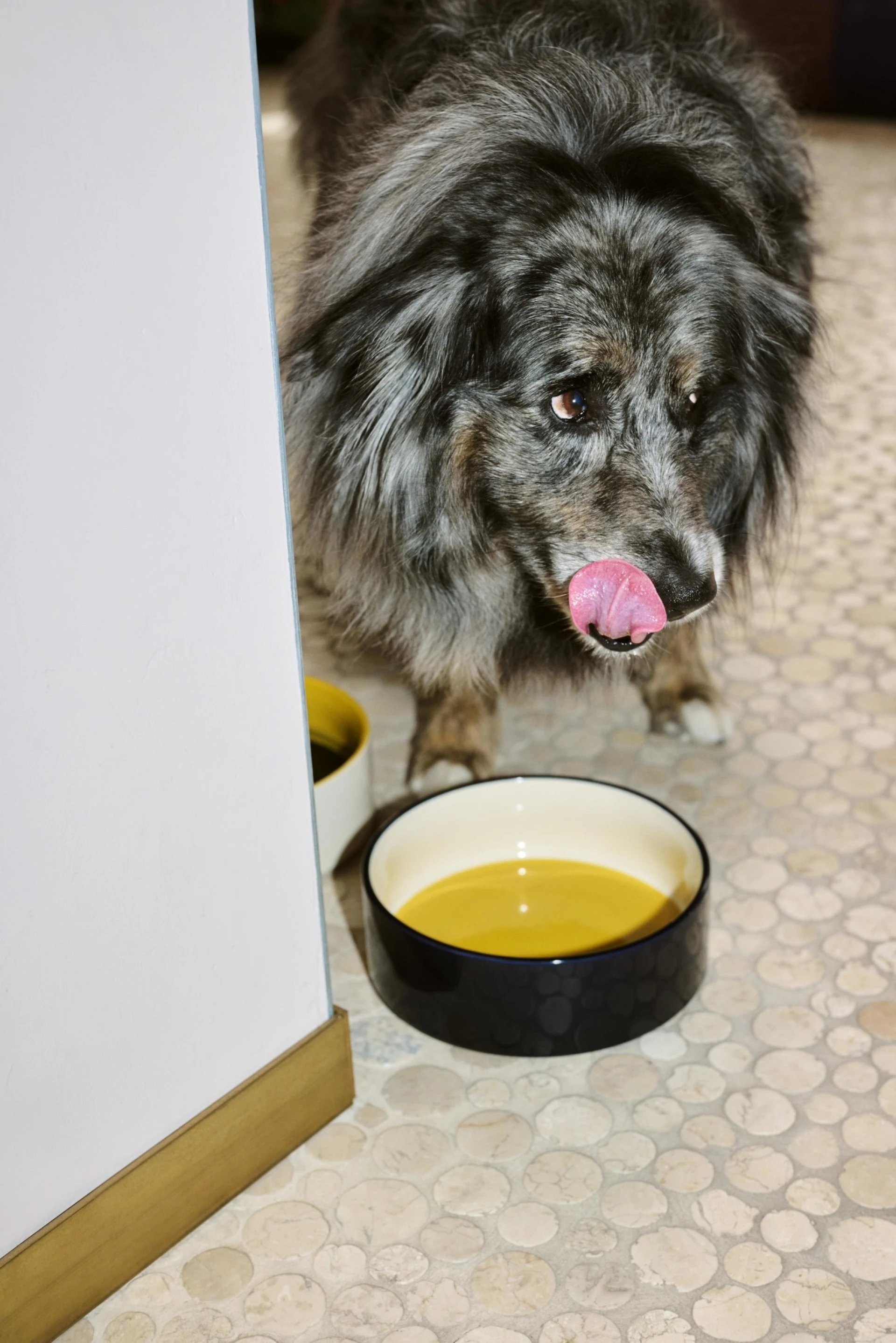 HAY Dogs Bowl Large Yellow, blue