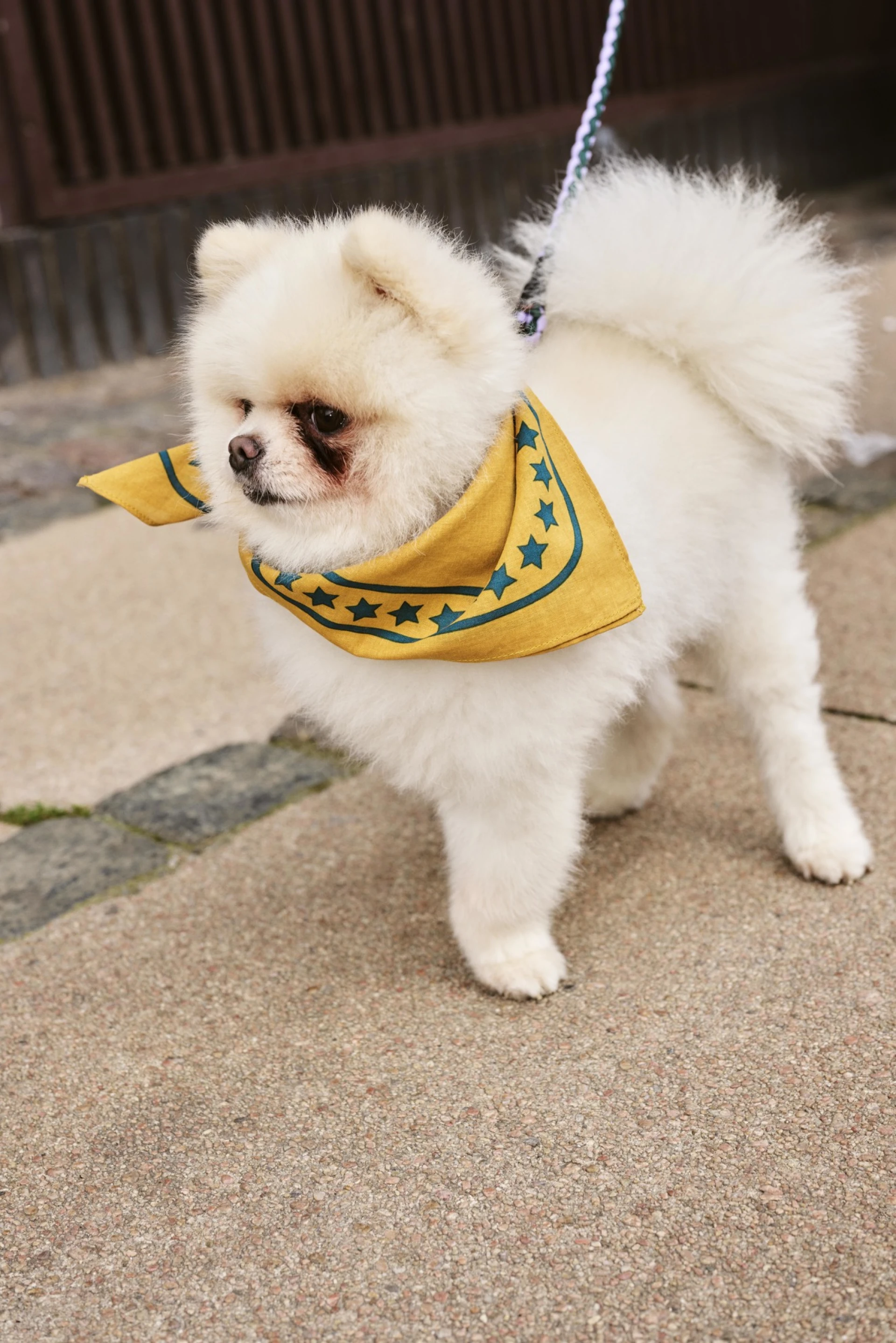 HAY Dogs Scarf 55 x 55 Ochre