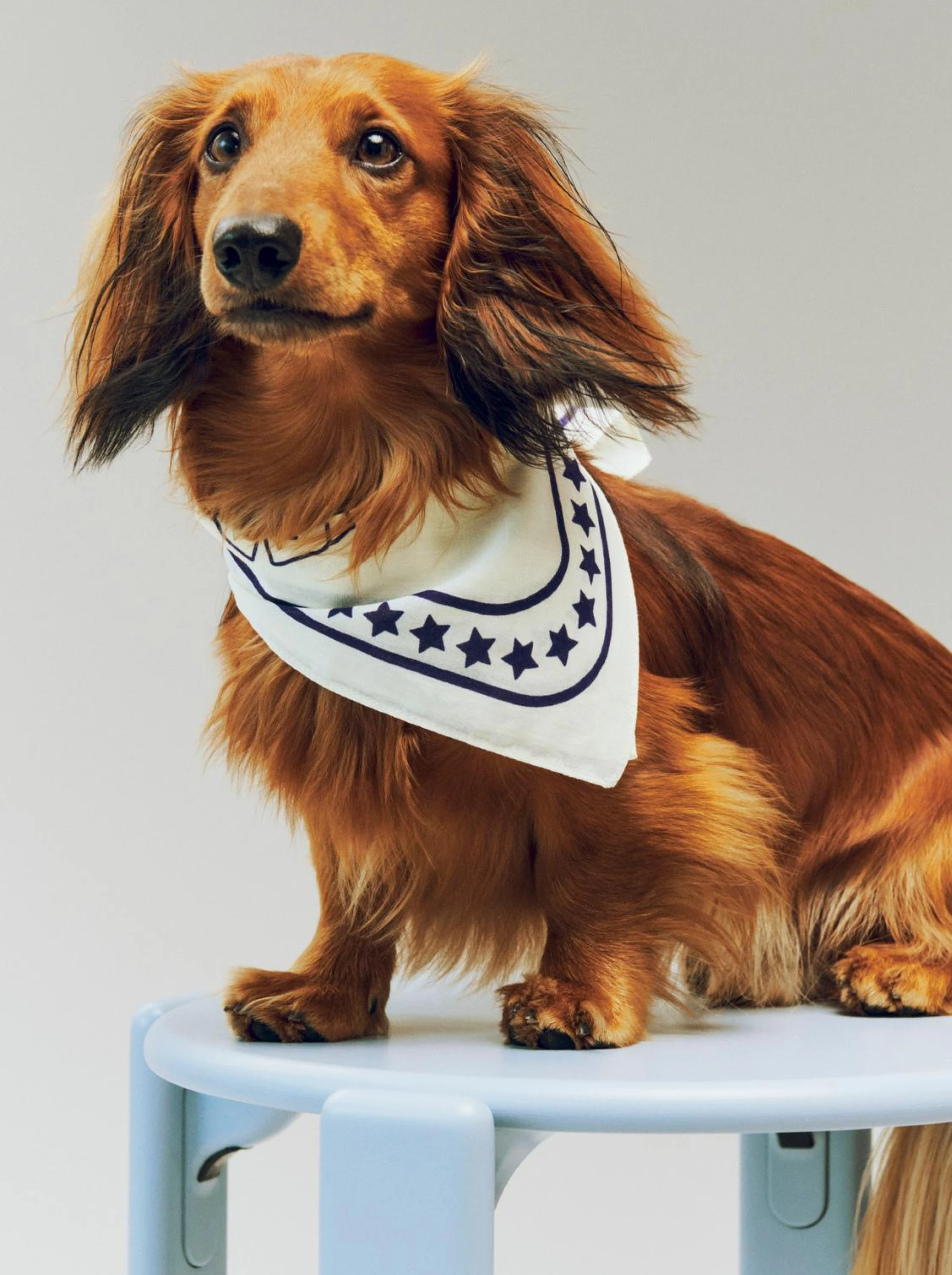 HAY Dogs Scarf (Recycled) 55 x 55 Off-white with blue