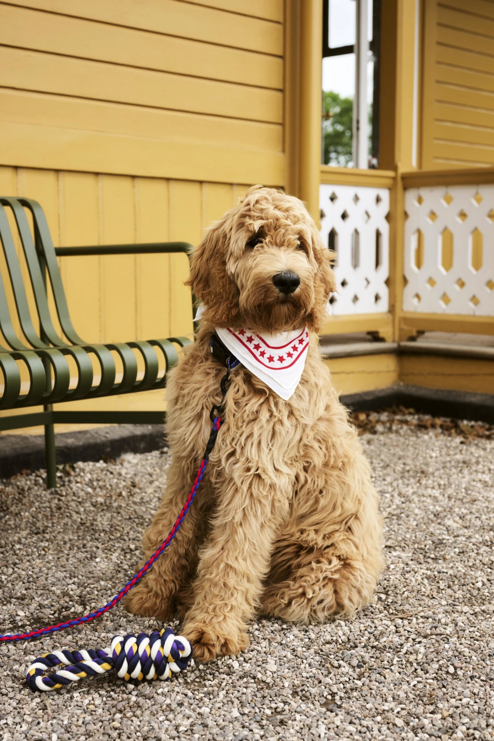 HAY Dogs Scarf 55 x 55 Off-white