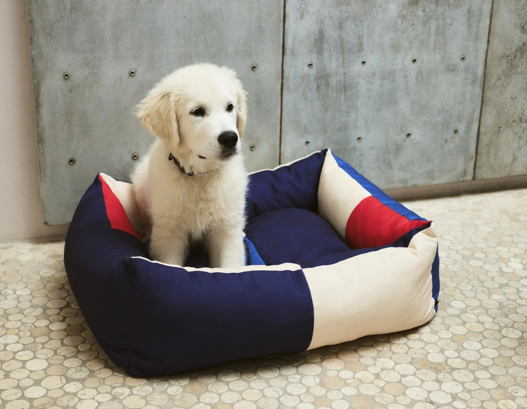 HAY Dogs Bed Medium Red, blue