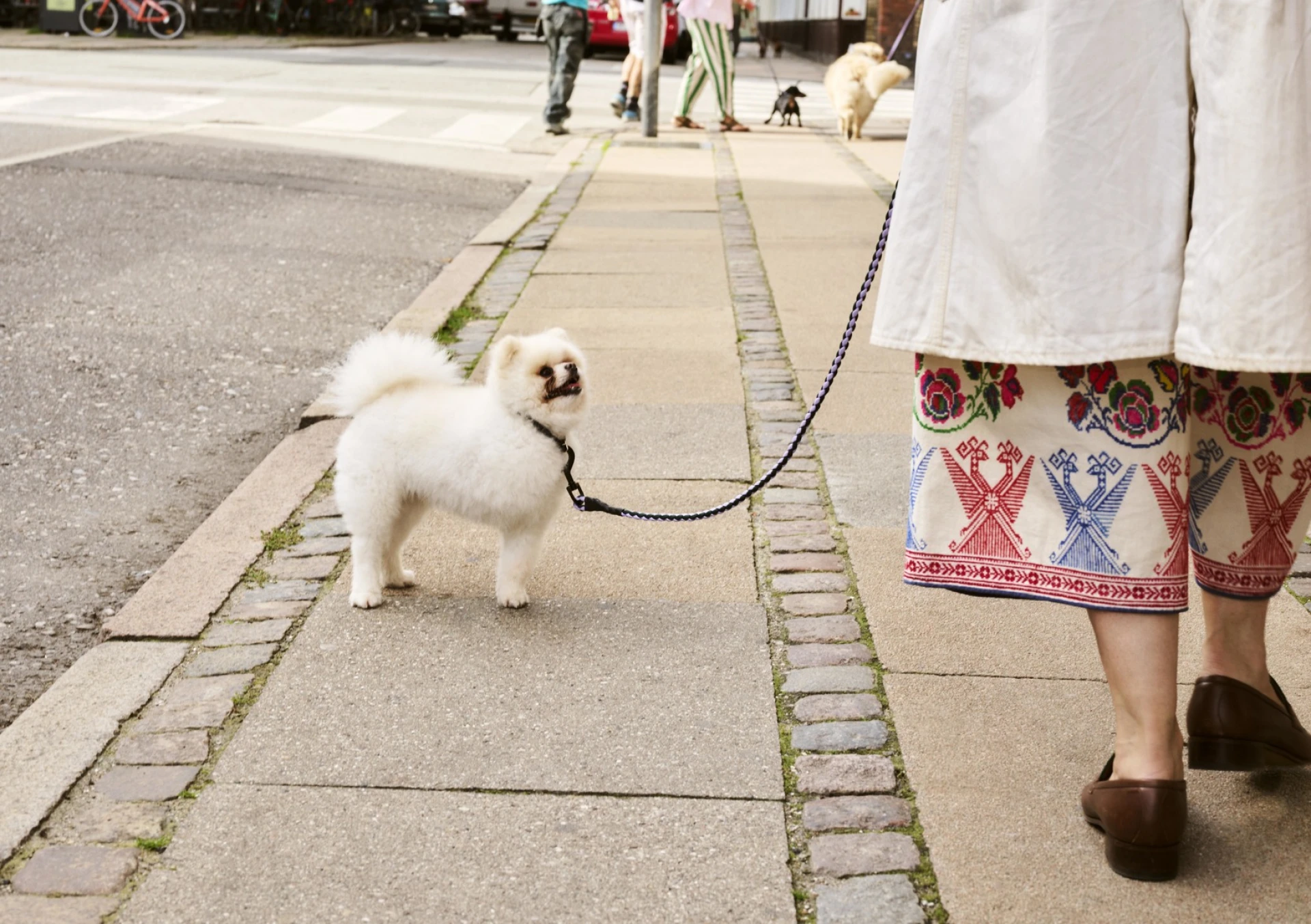 HAY Dogs Leash Braided Lavender, green