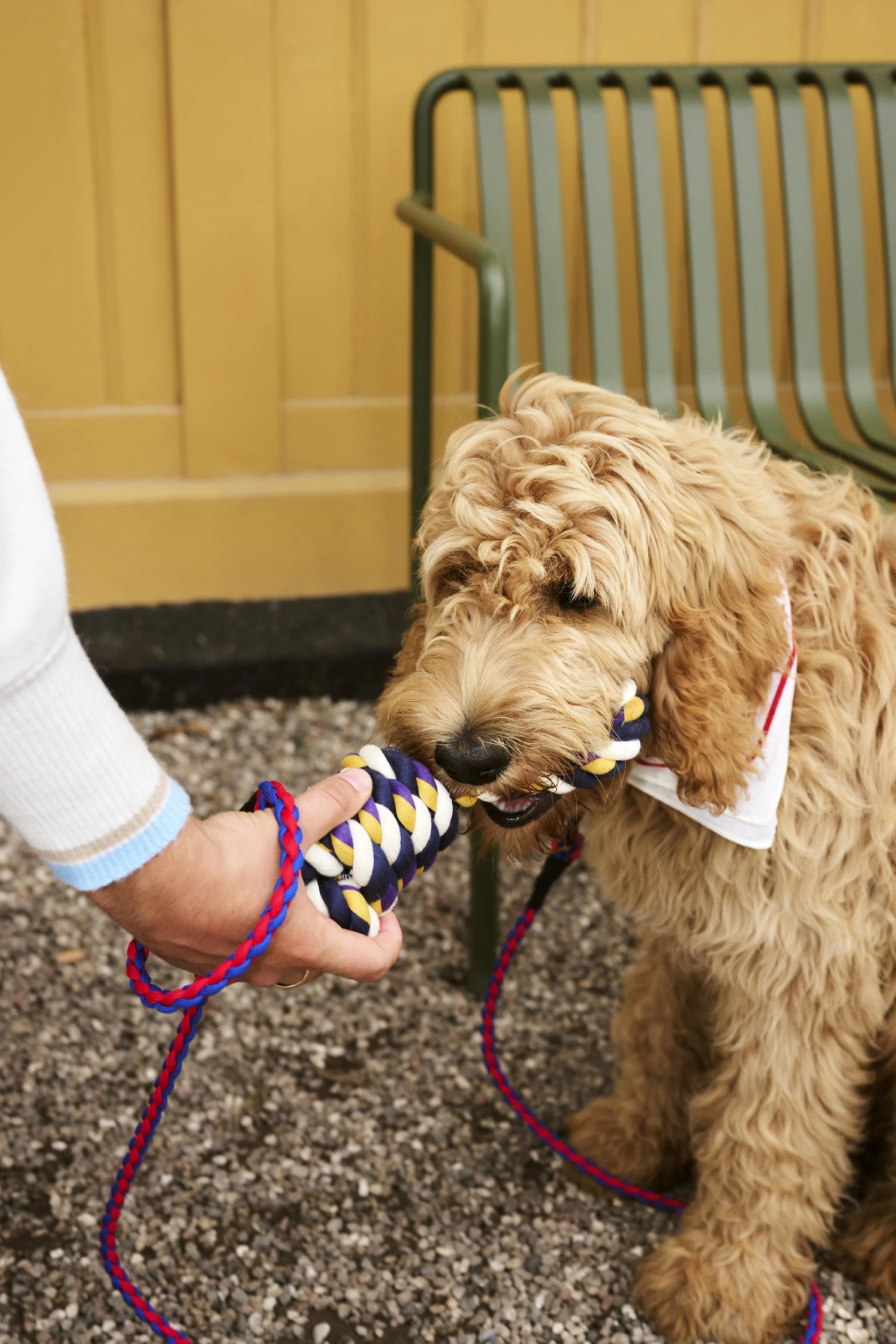 HAY Dogs Leash Braided Red, blue