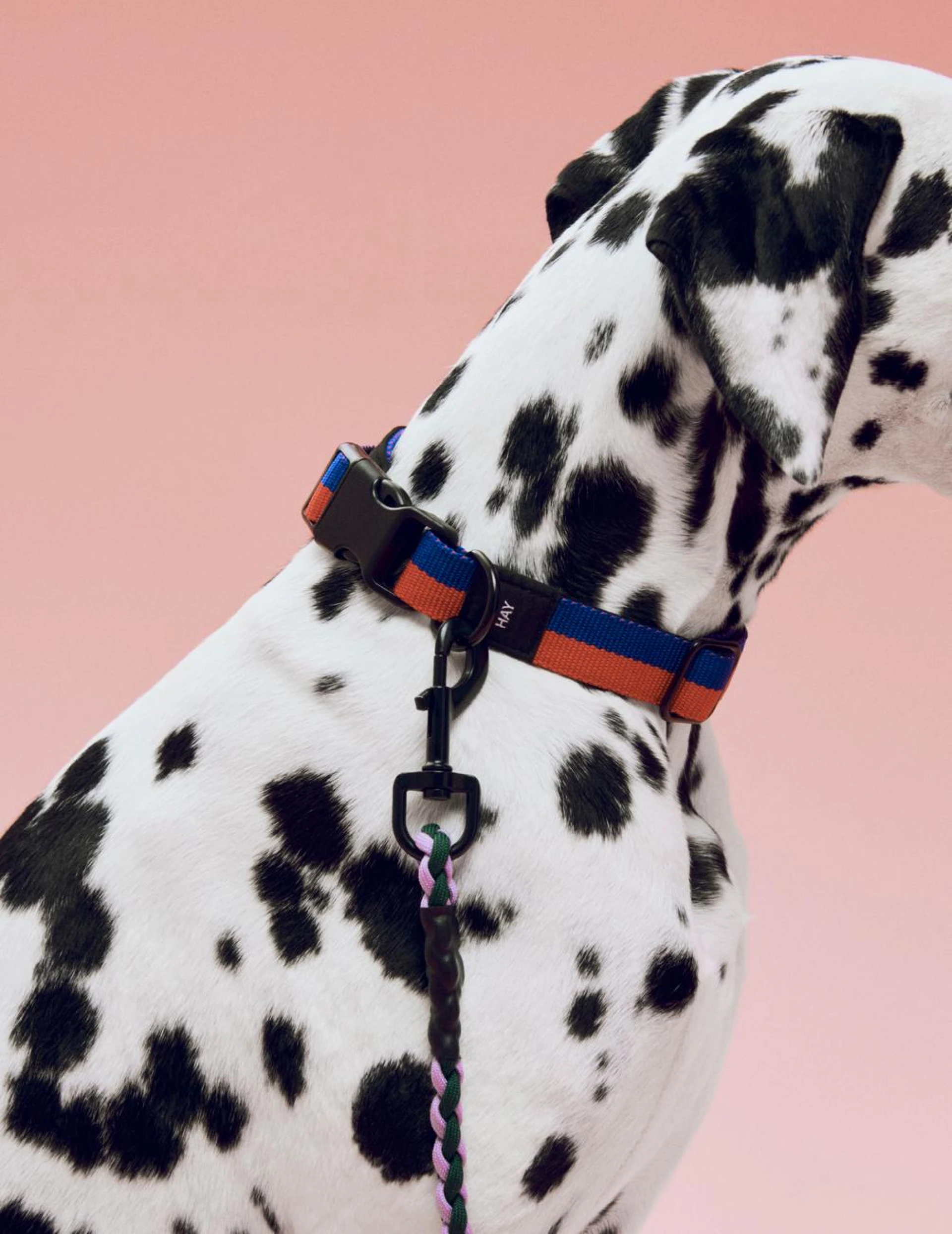 HAY Dogs Leash Braided Adjustable M/L Lavender, green