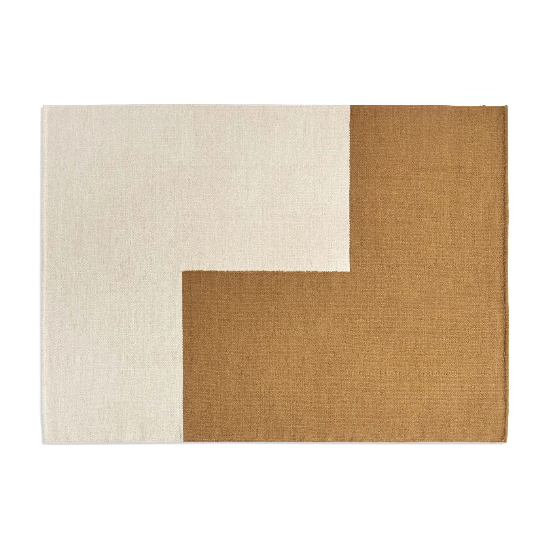 Ethan Cook Flat Works 170 x 240 Brown L