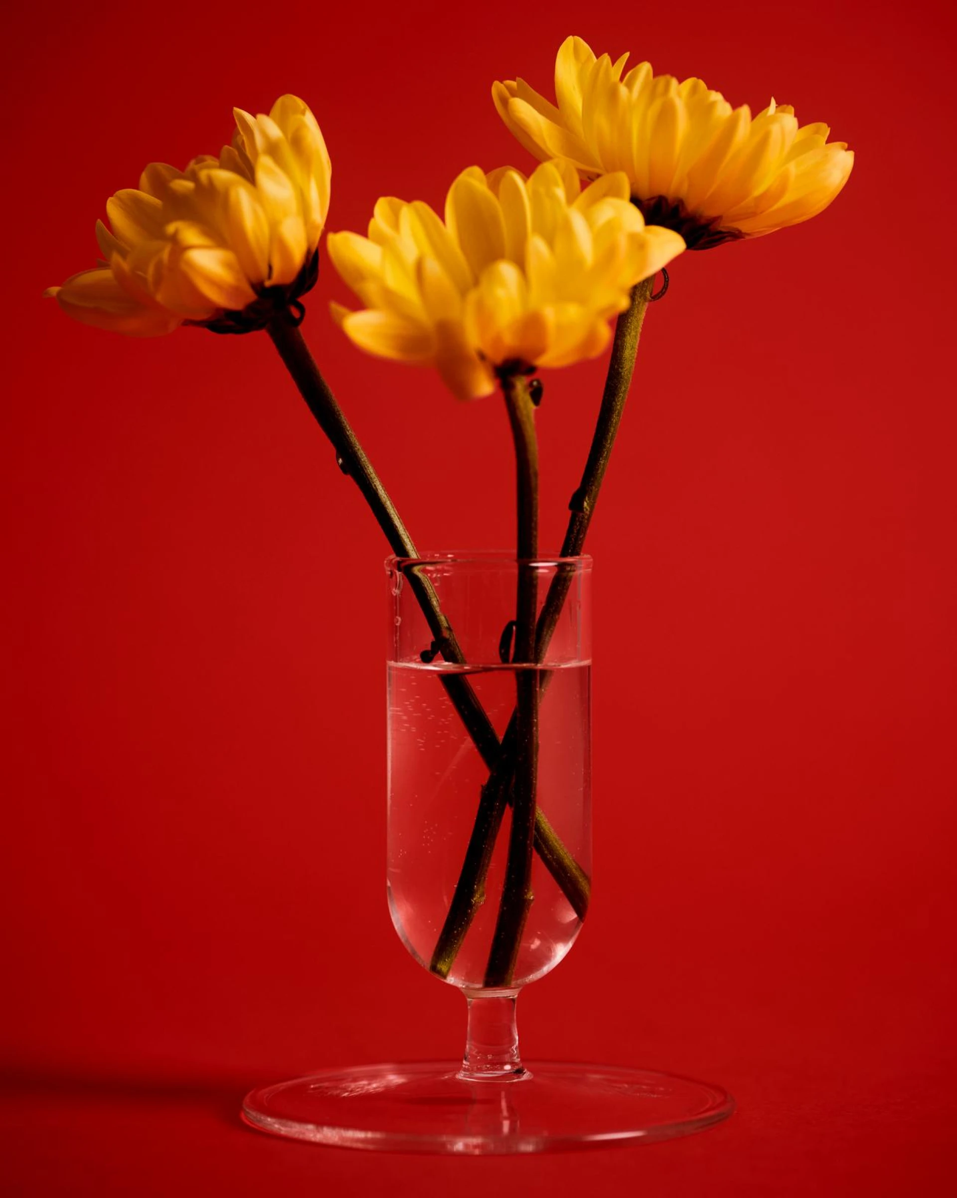 Tiny Vase Clear Tiny Vase Clear