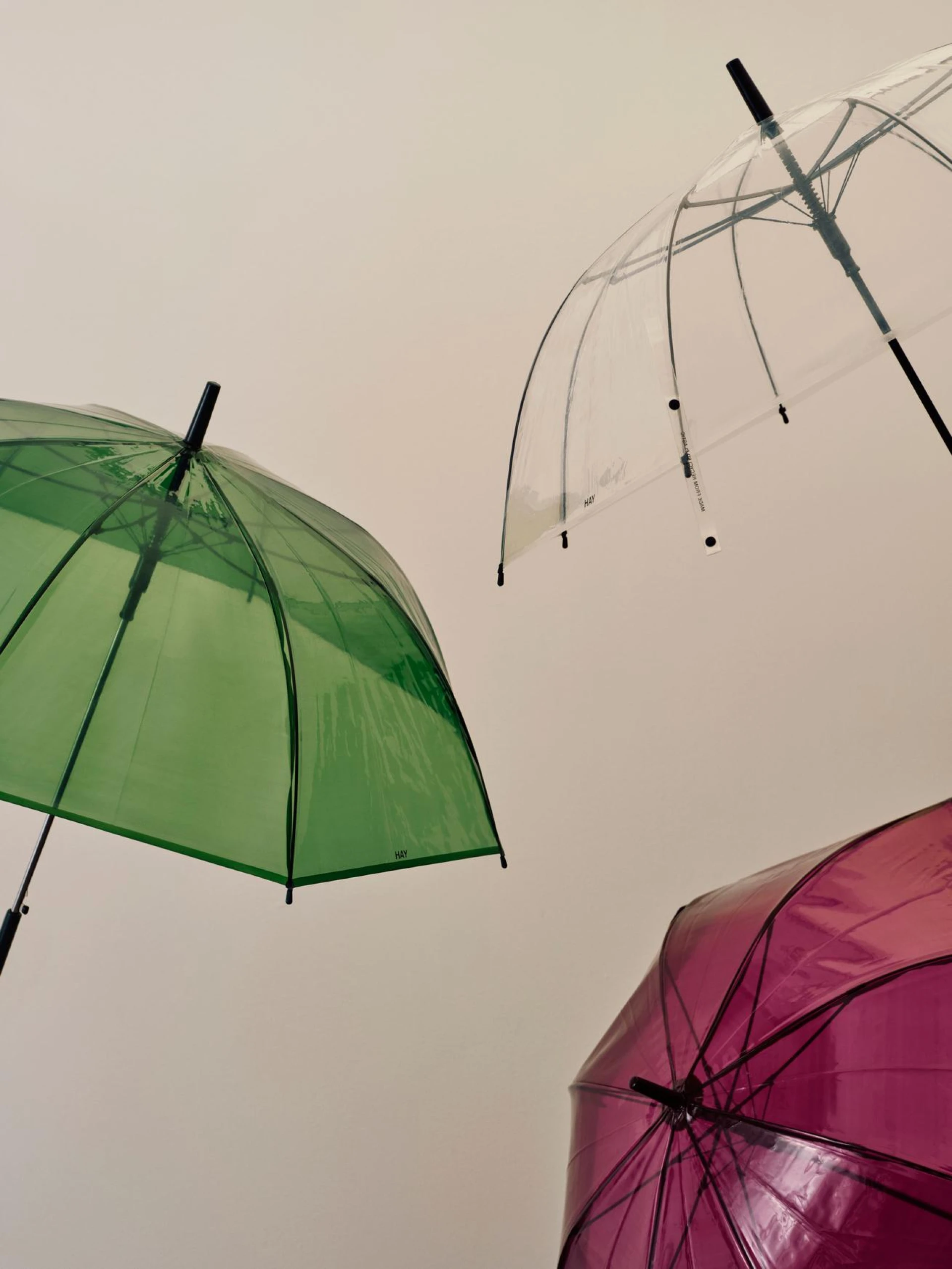 Canopy Umbrella Clear