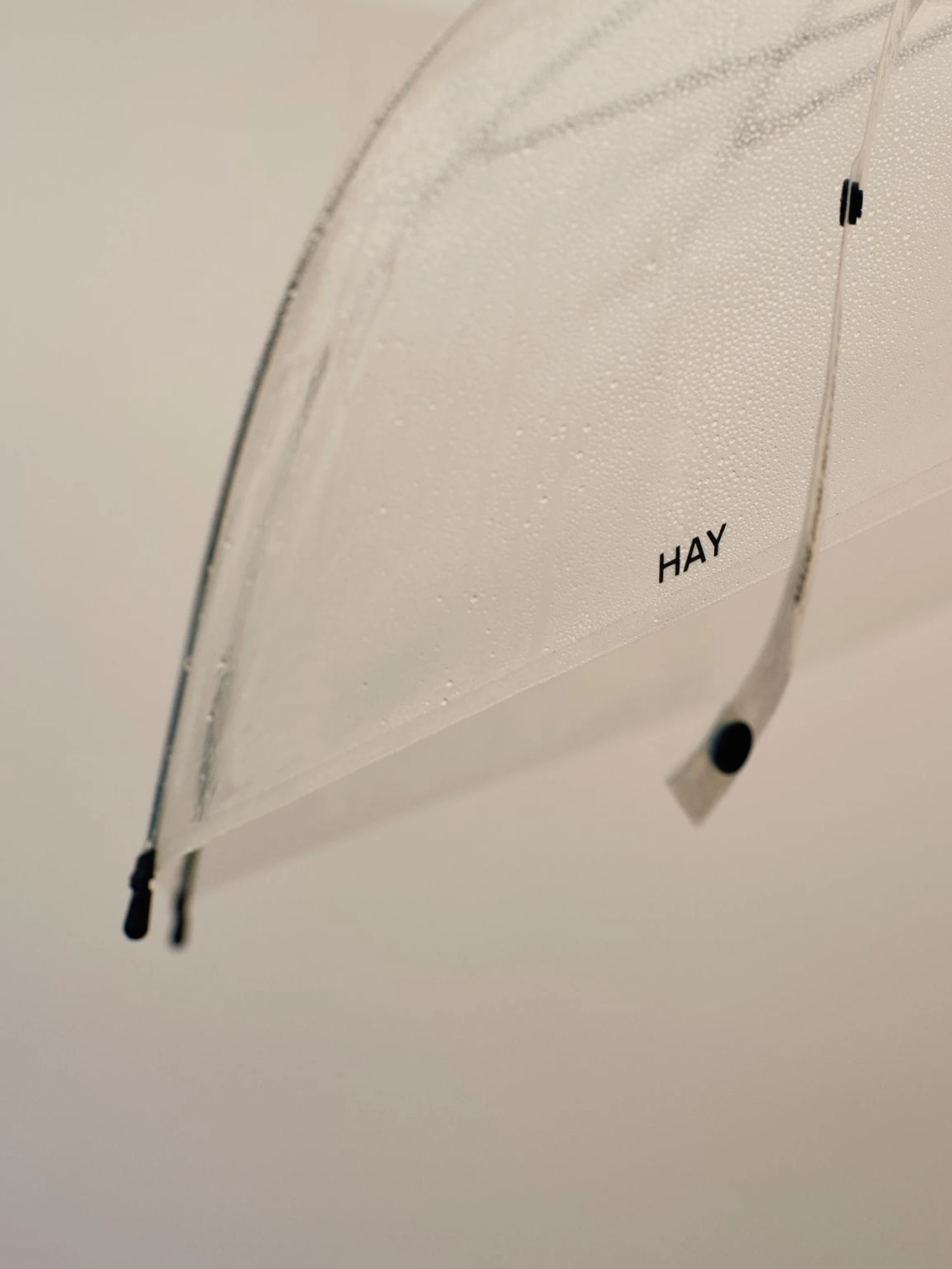 Canopy Umbrella Clear