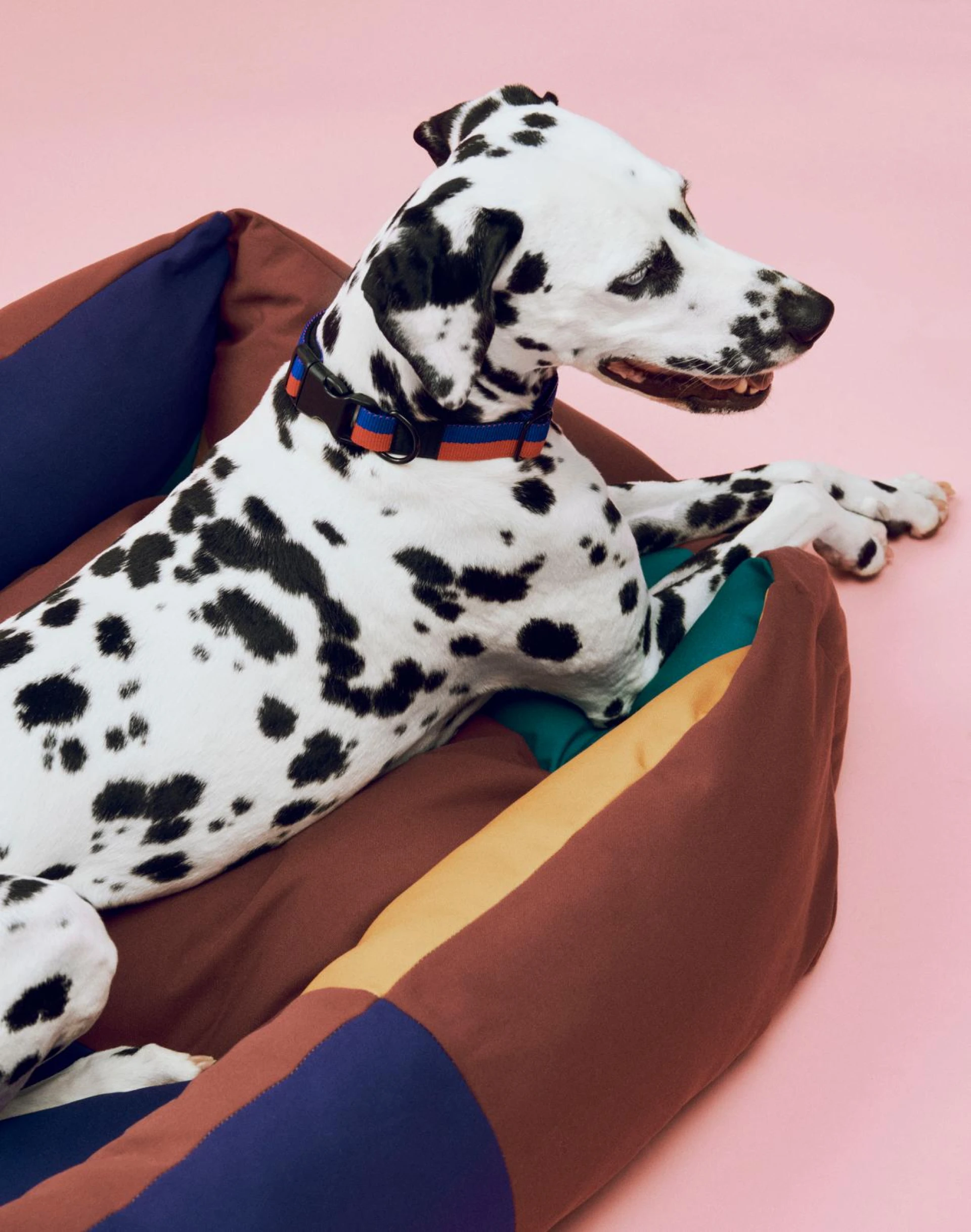 HAY Dogs Bed Zip Large Burgundy, green