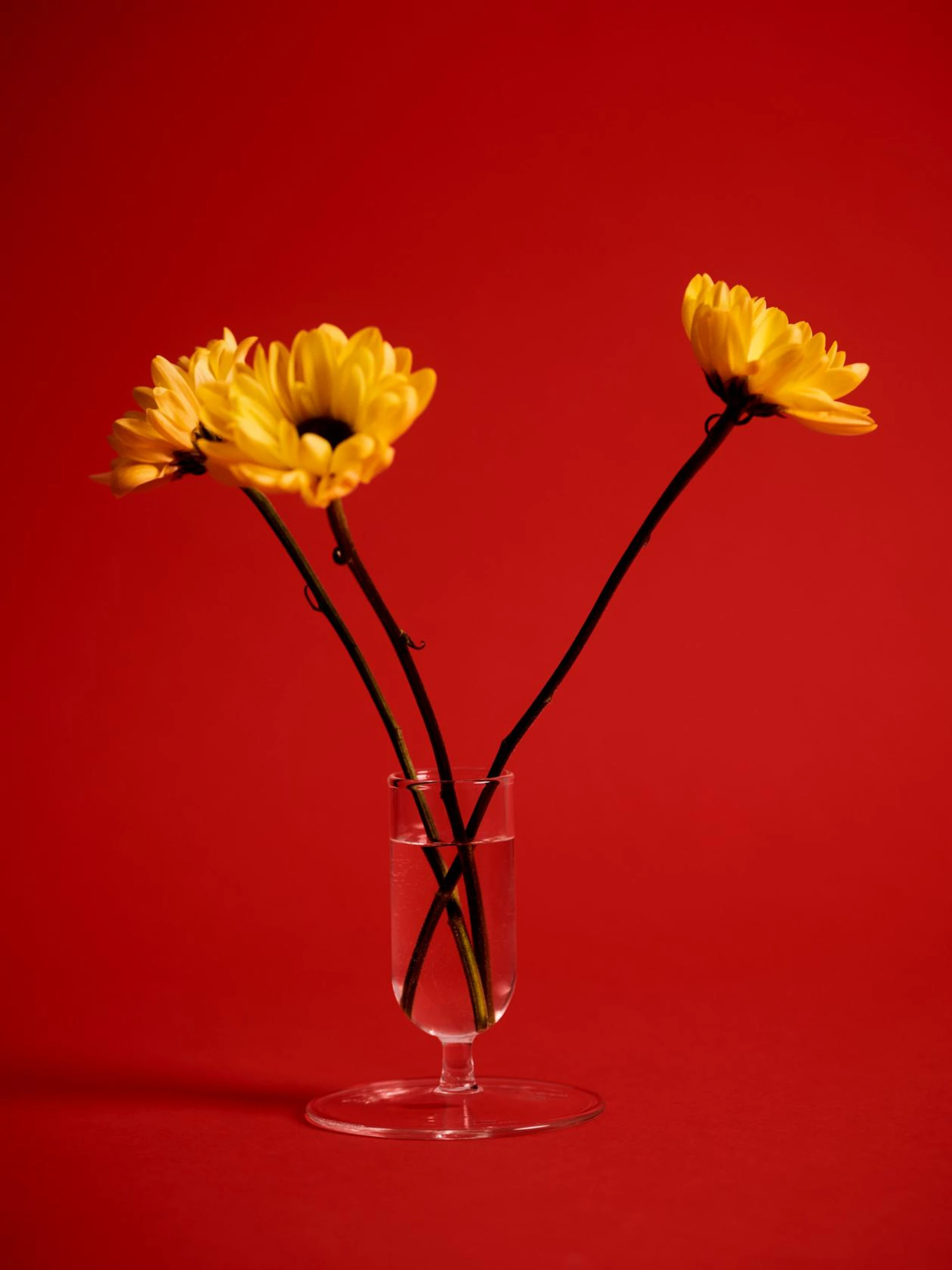 Tiny Vase Clear Tiny Vase Clear