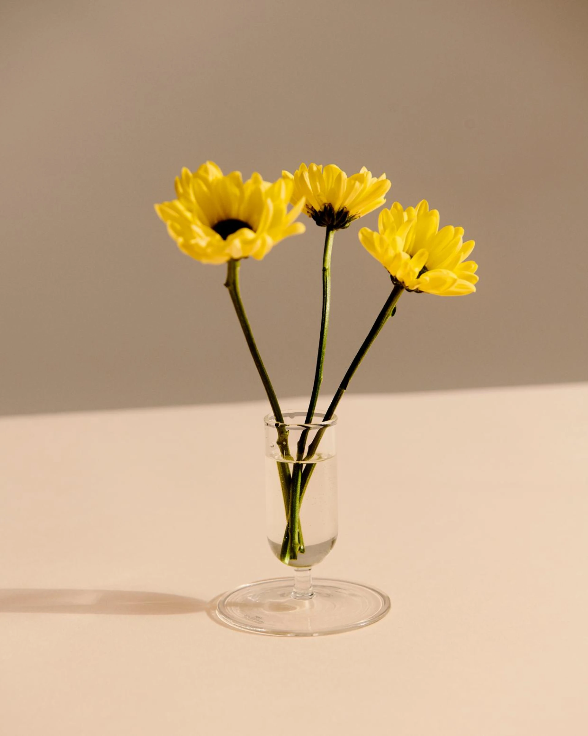 Tiny Vase Clear