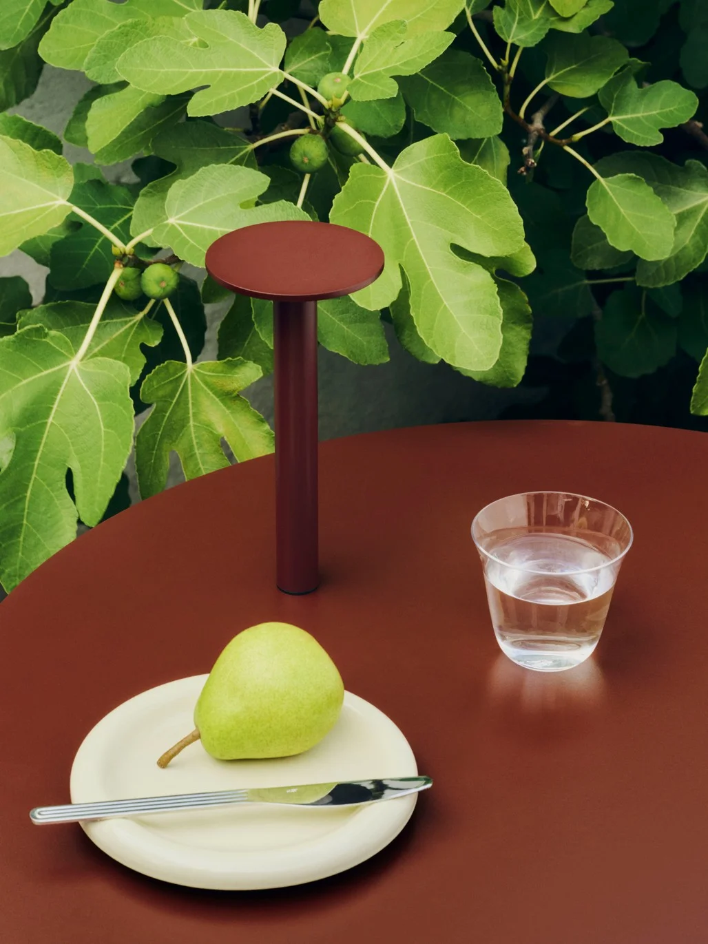Host Portable Lamp 300 Iron red
