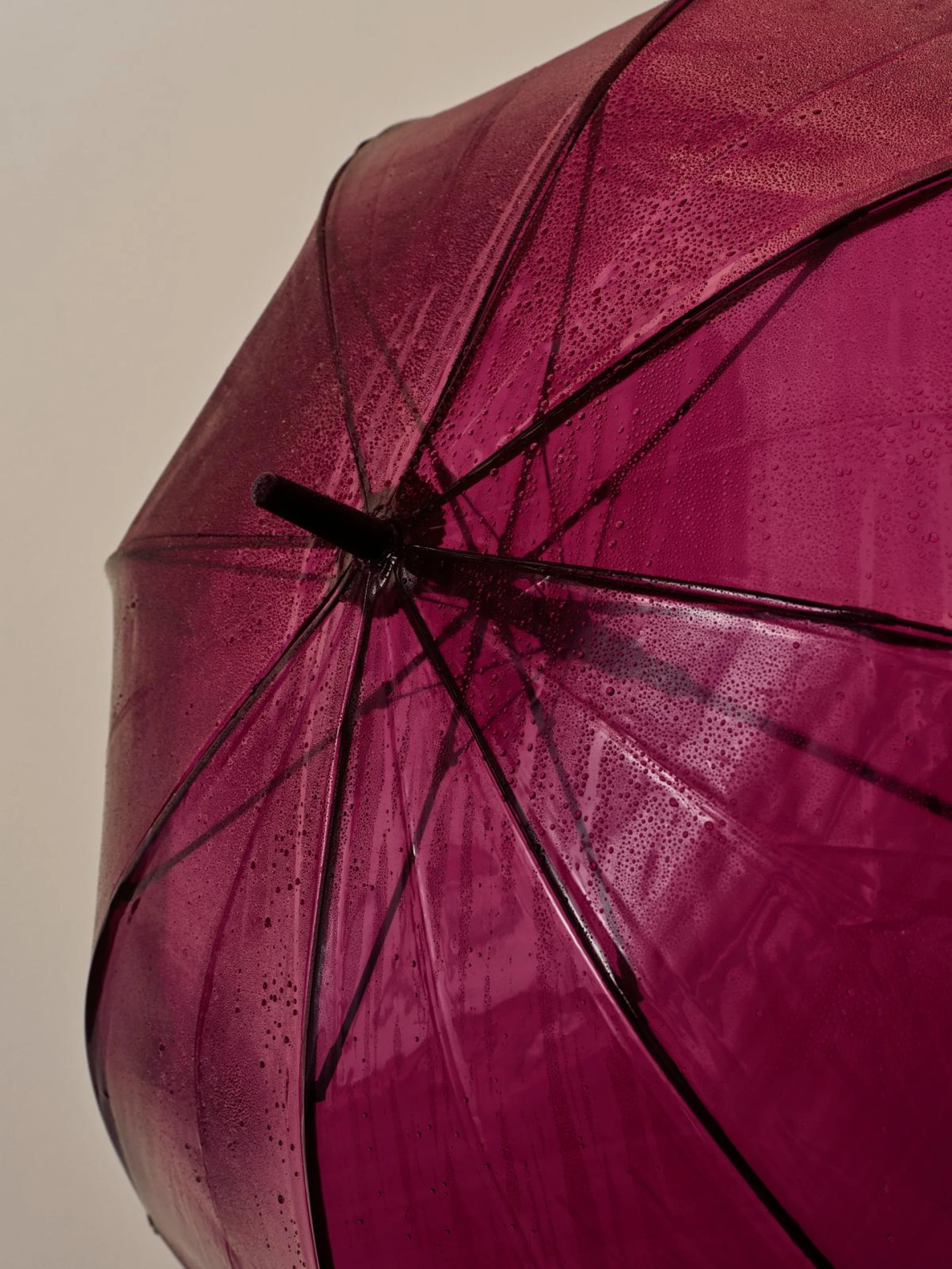 Canopy Umbrella Burgundy