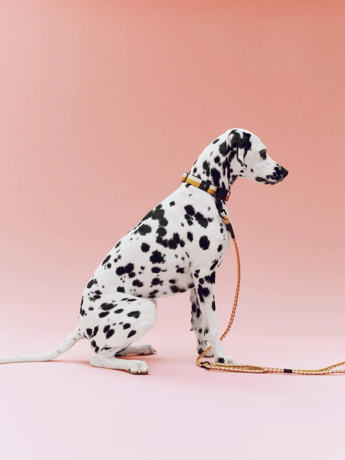 HAY Dogs Leash Braided Adjustable M/L Off-white, ochre