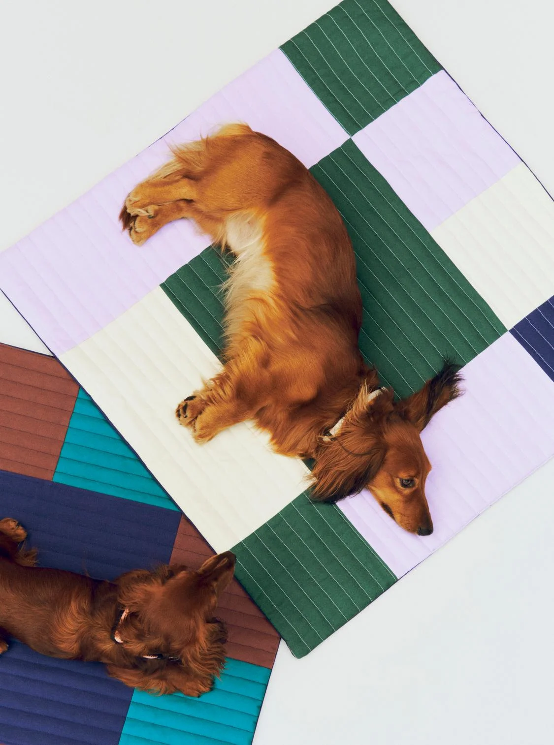 HAY Dogs Travel Blanket 80 x 80 Lavender, green and blue Quilted