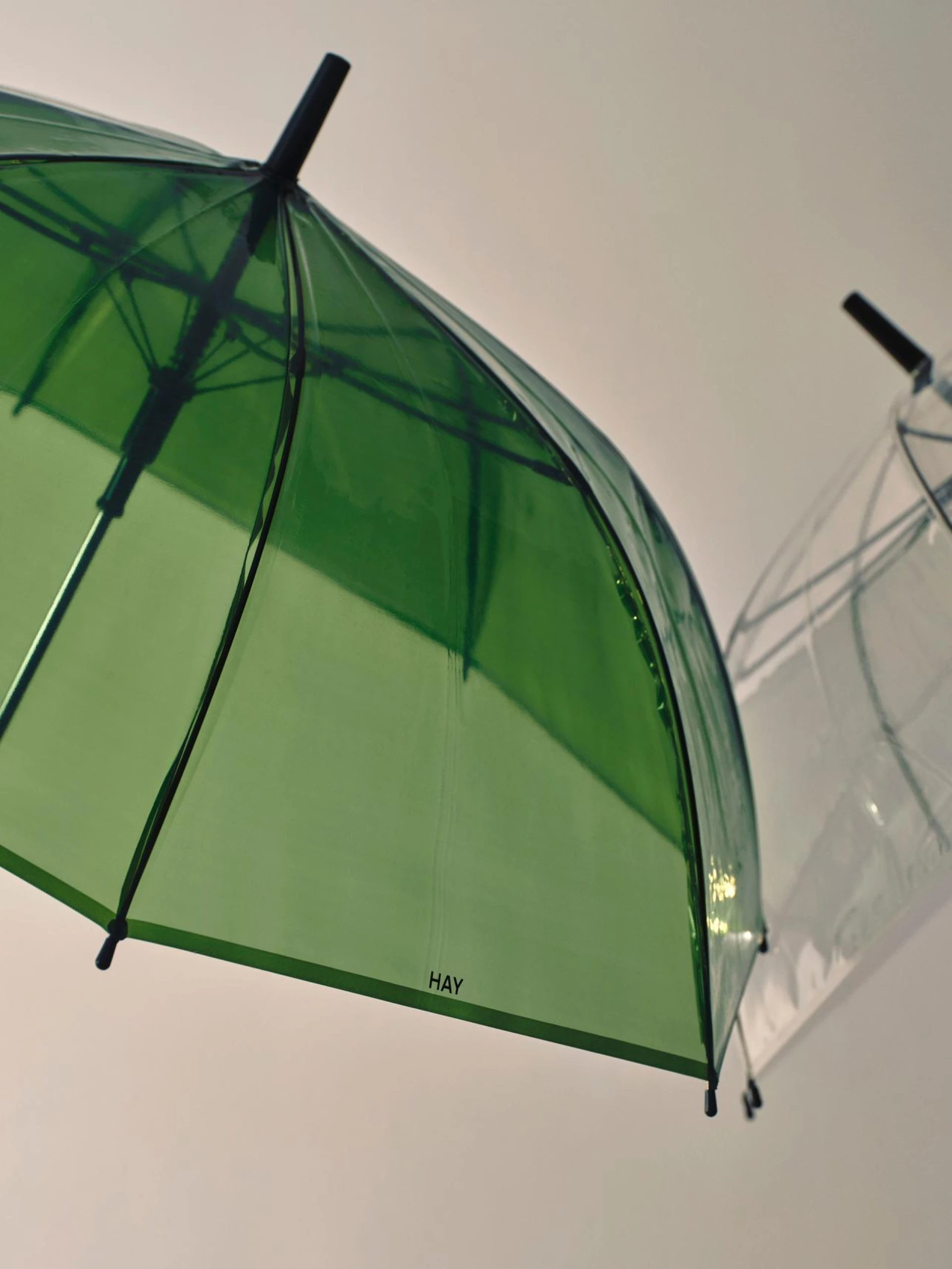 Canopy Umbrella Clear