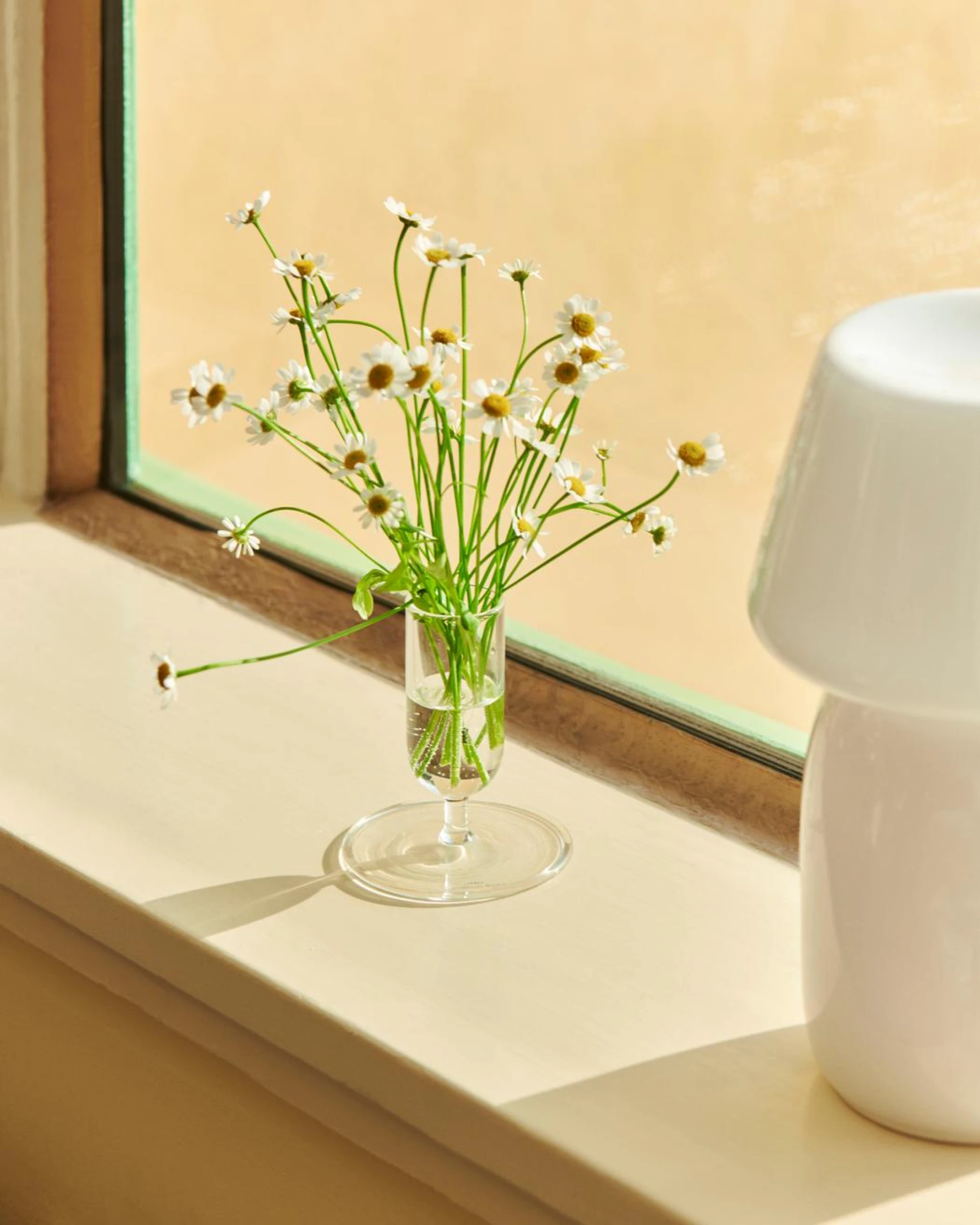 Tiny Vase Clear Tiny Vase Clear