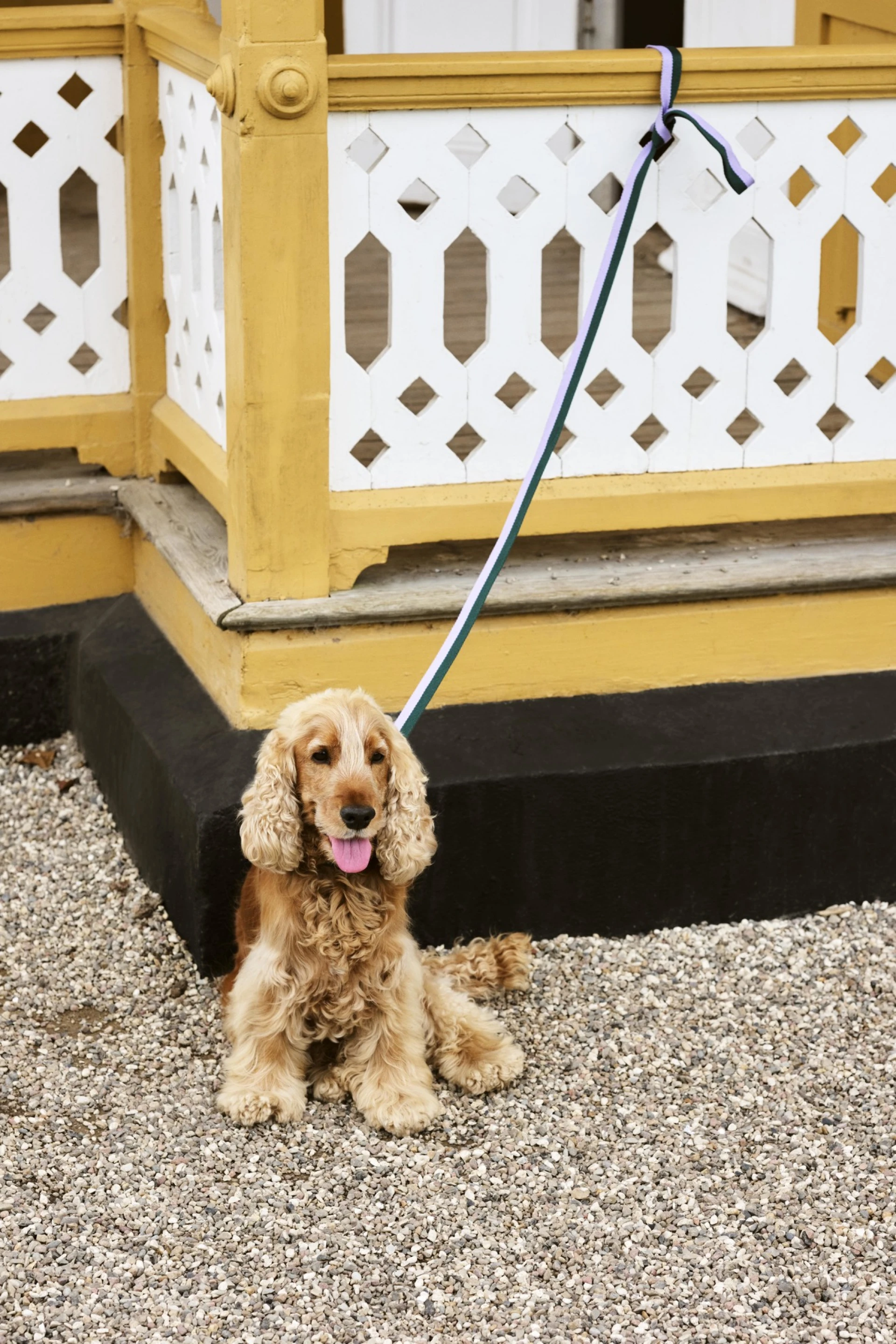 HAY Dogs Leash Flat M/L Lavender, green