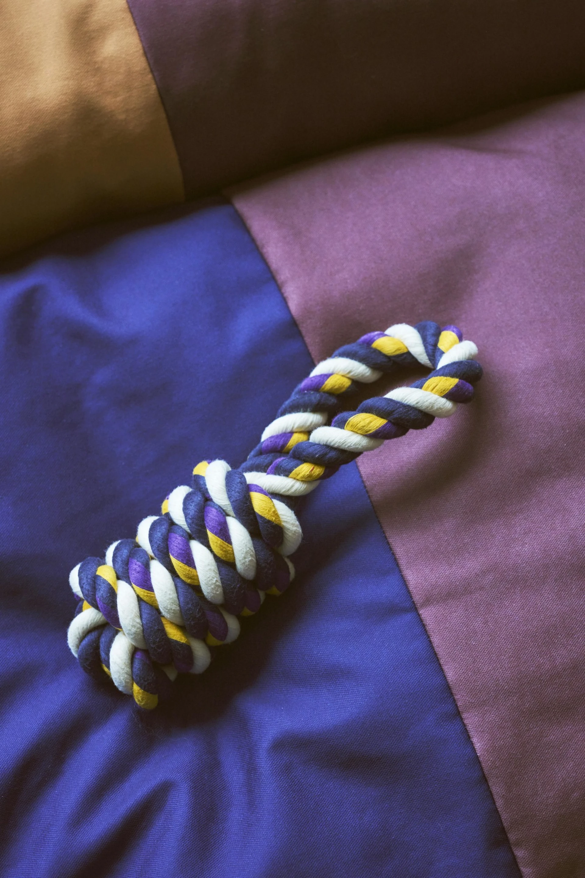 HAY Dogs Rope Toy Blue, purple, ochre