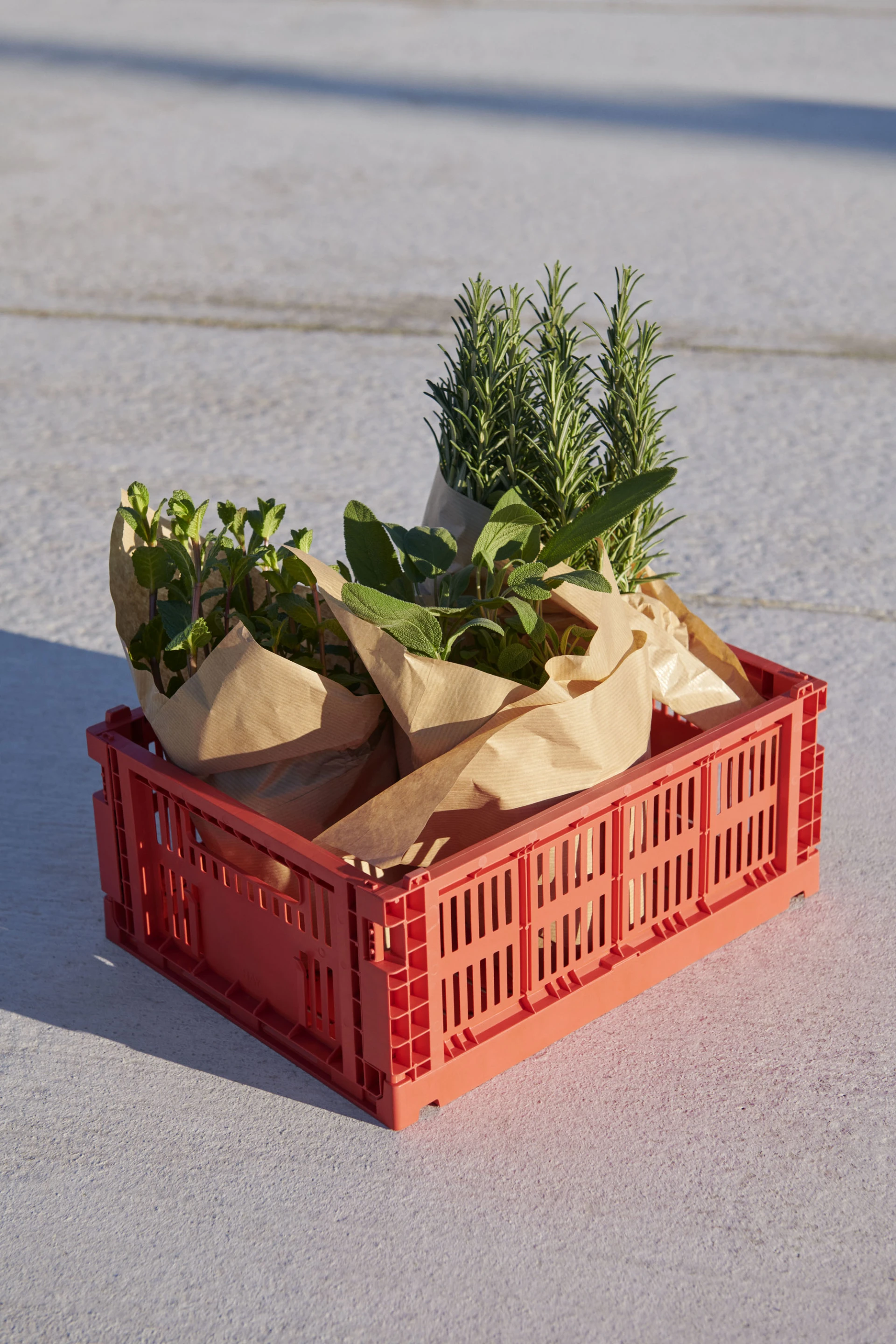HAY Colour Crate Medium Red