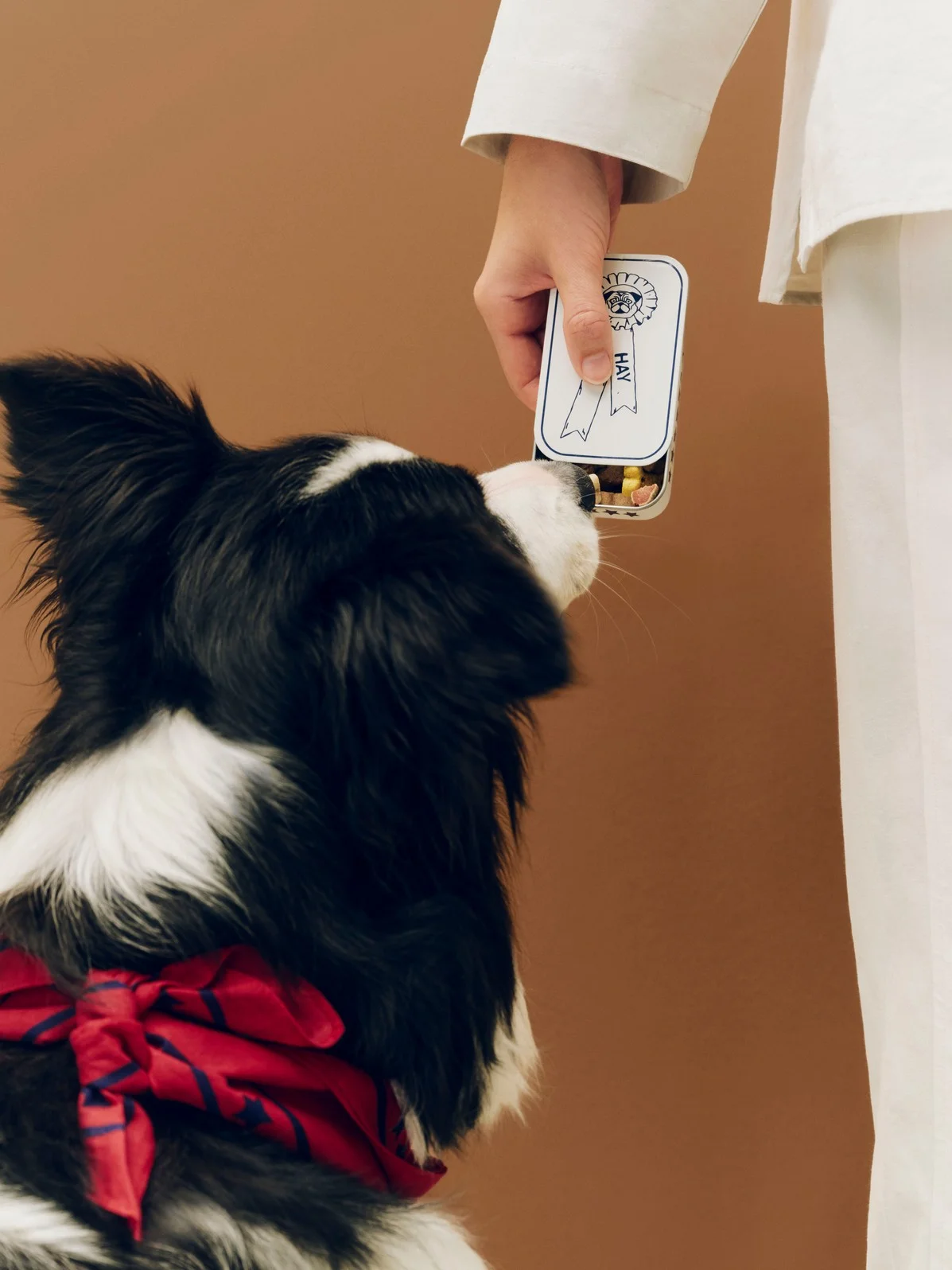 HAY Dogs Treat Tin Small Red and white