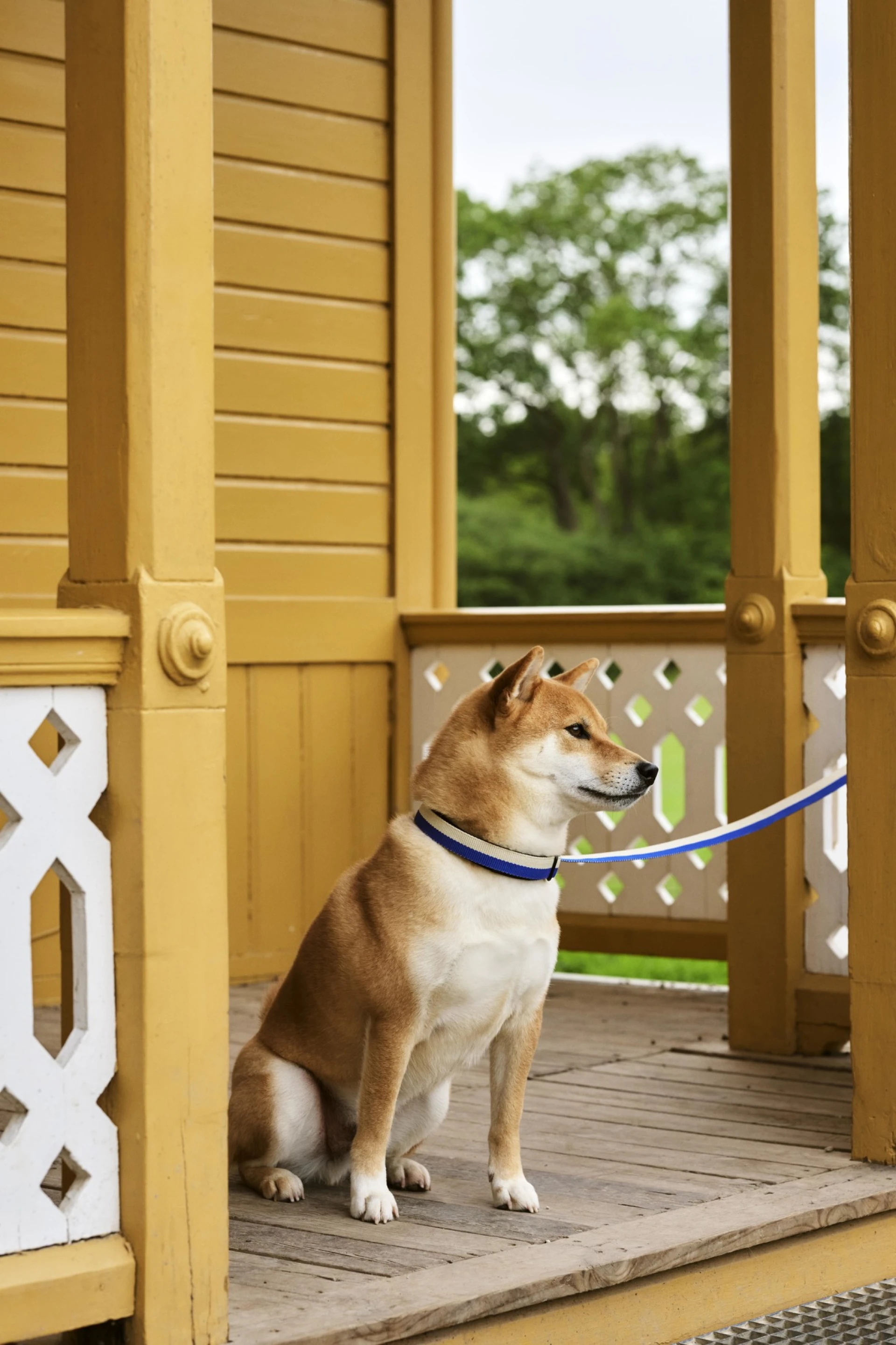 HAY Dogs Leash Flat M/L Blue, off-white