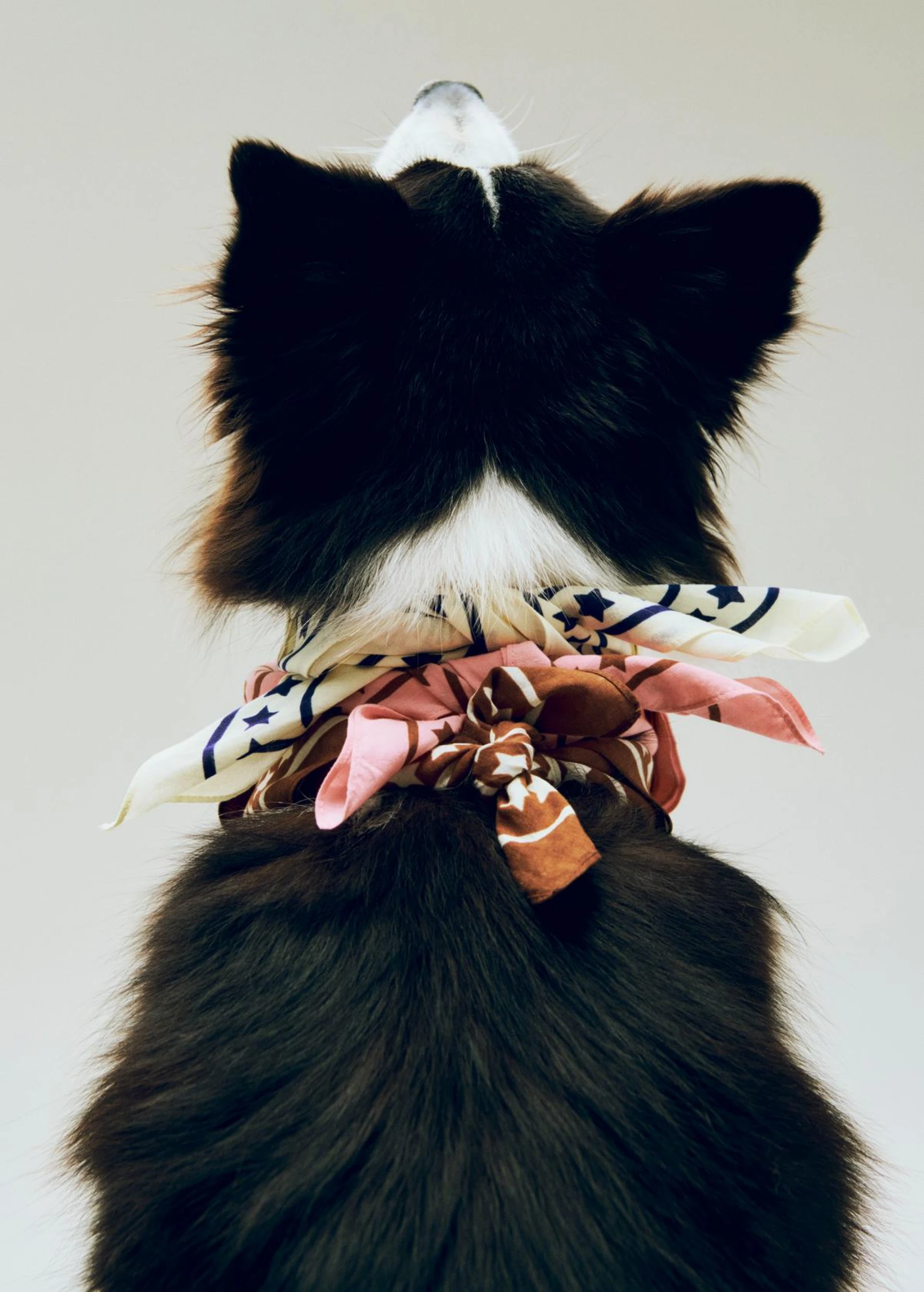 HAY Dogs Scarf (Recycled) 55 x 55 Brown